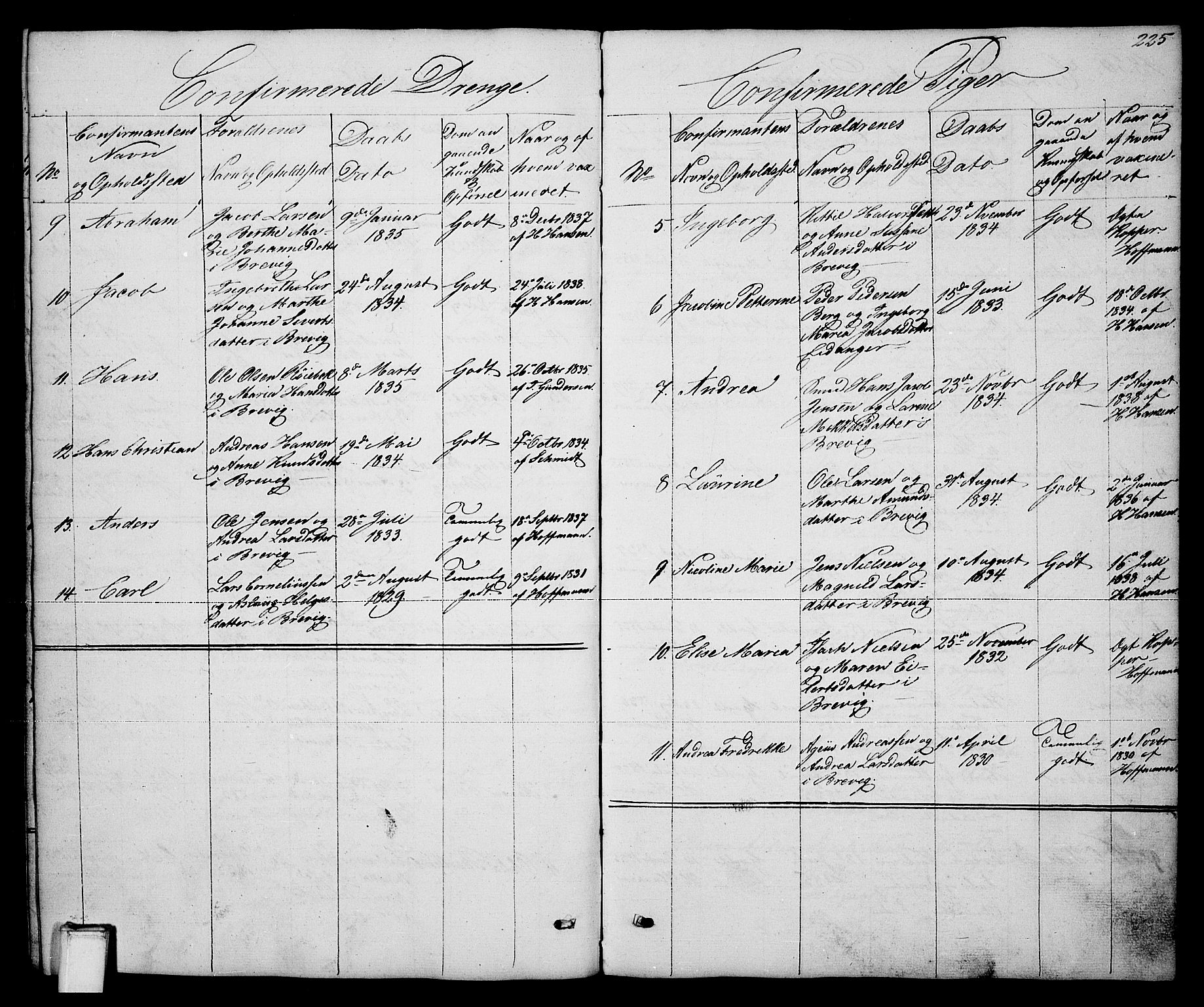 Brevik kirkebøker, AV/SAKO-A-255/G/Ga/L0002: Parish register (copy) no. 2, 1846-1865, p. 225