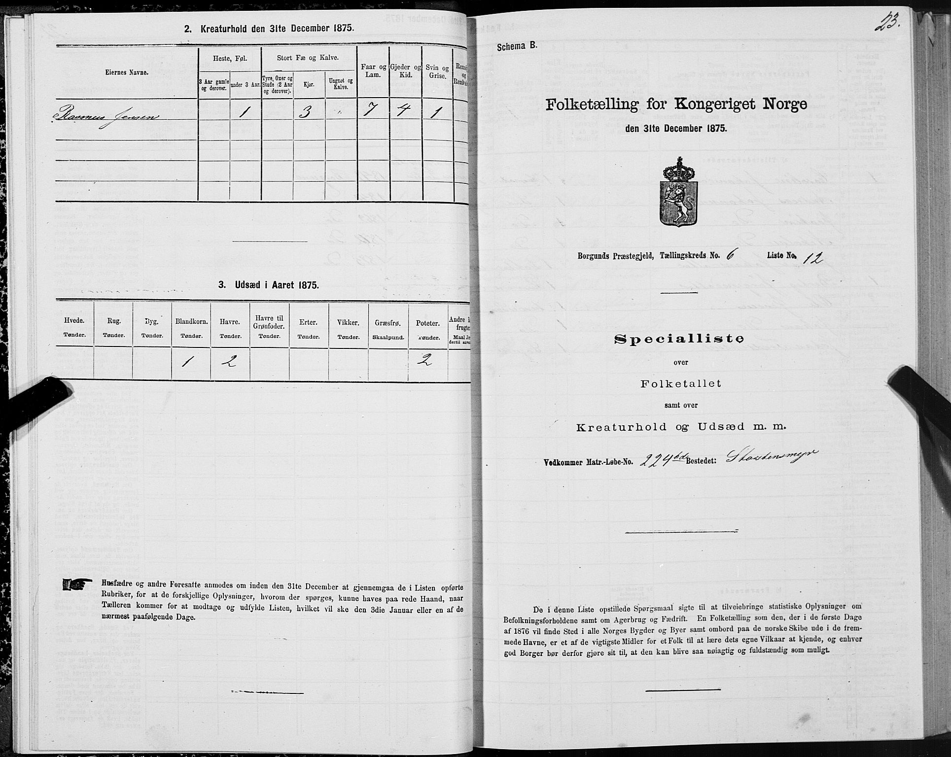 SAT, 1875 census for 1531P Borgund, 1875, p. 4023