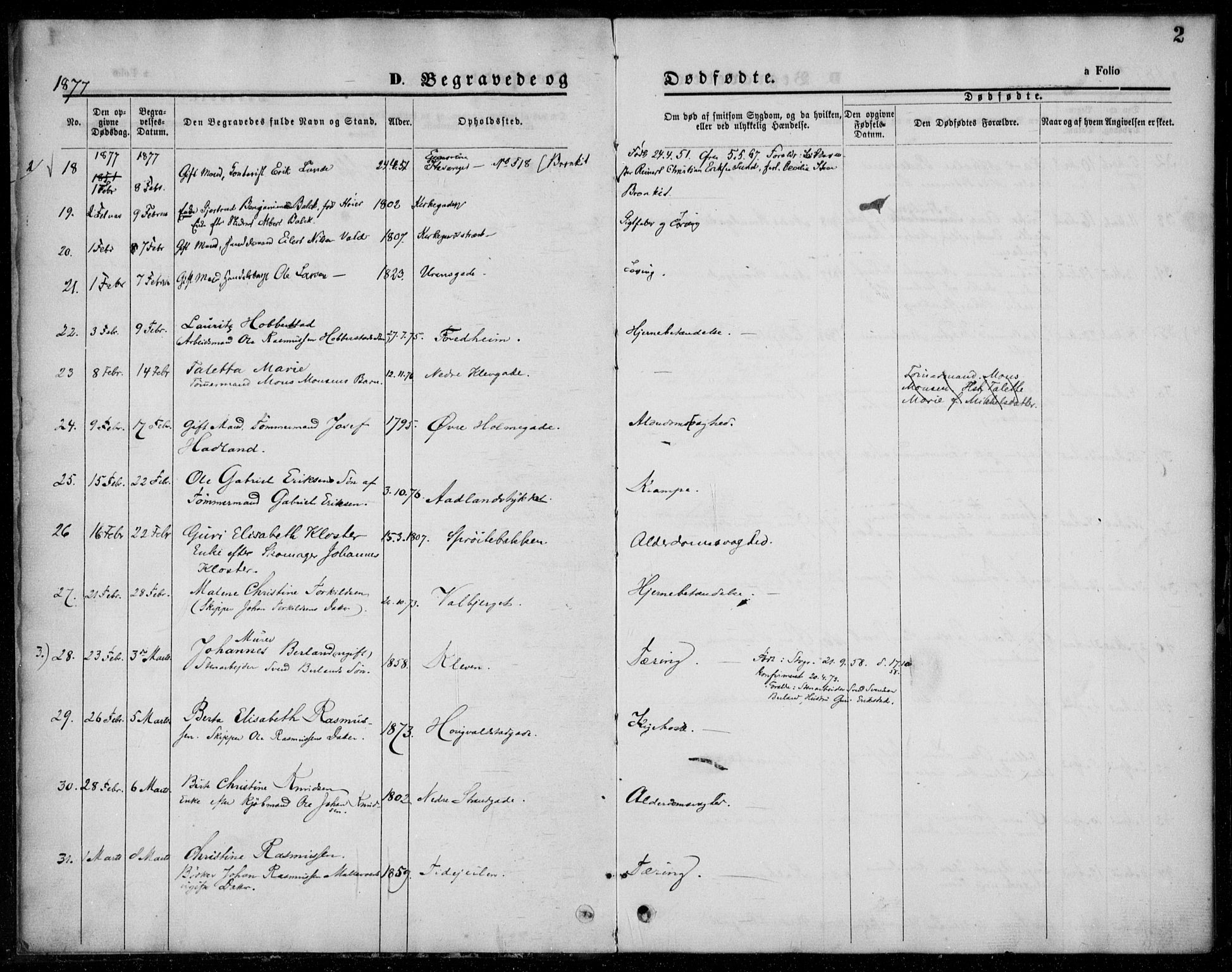 Domkirken sokneprestkontor, SAST/A-101812/001/30/30BA/L0024: Parish register (official) no. A 23, 1877-1877, p. 2