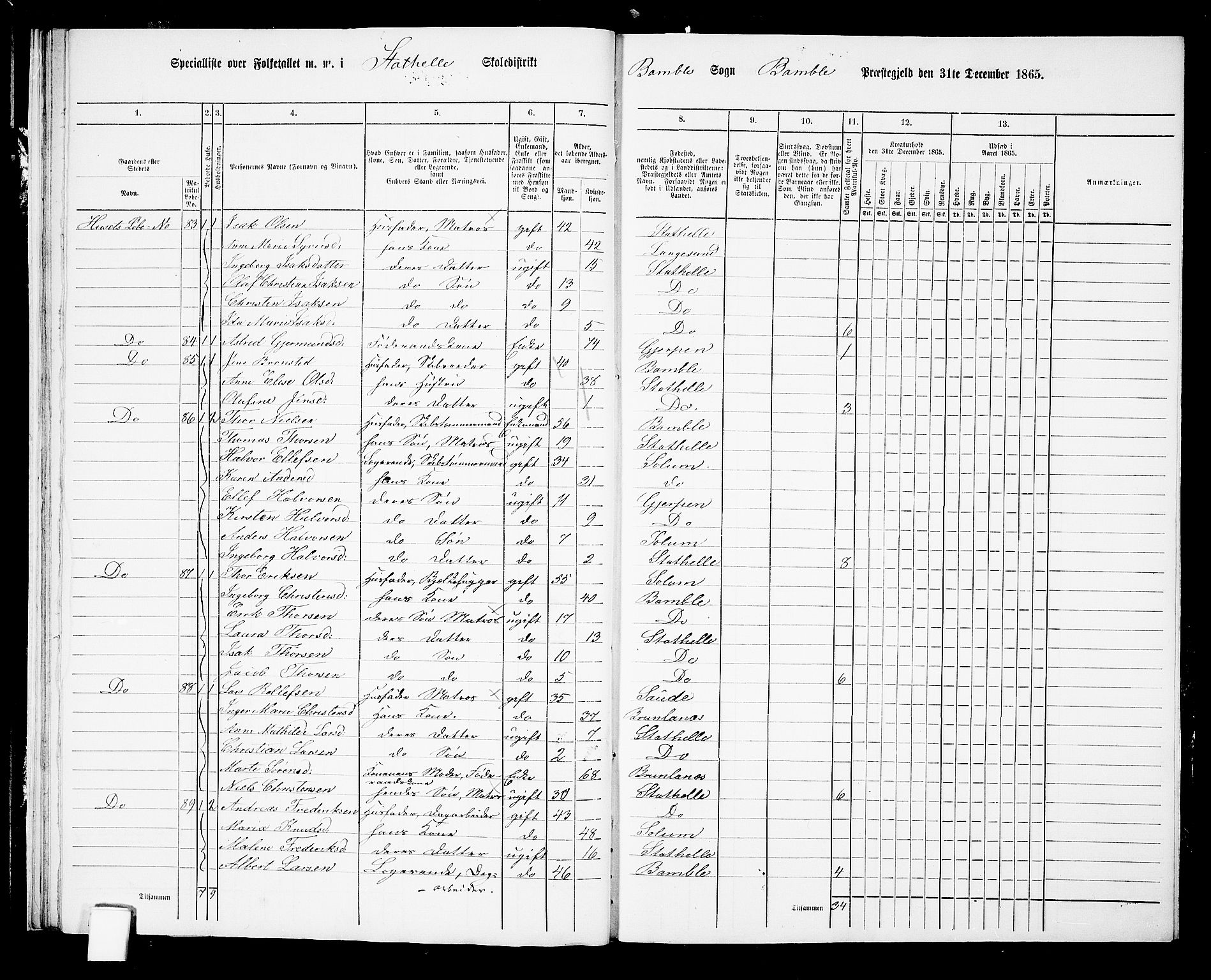 RA, 1865 census for Bamble, 1865, p. 244