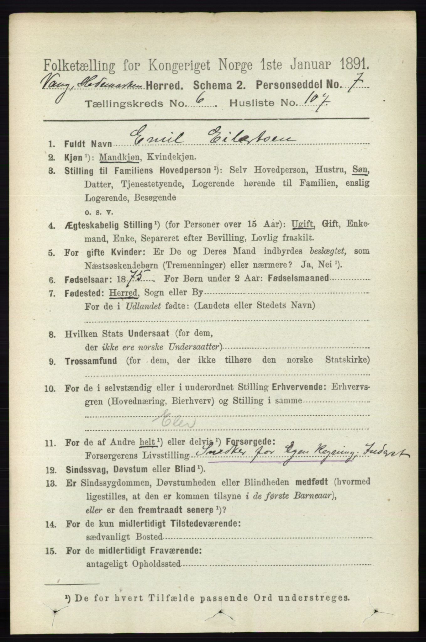 RA, 1891 census for 0414 Vang, 1891, p. 4907