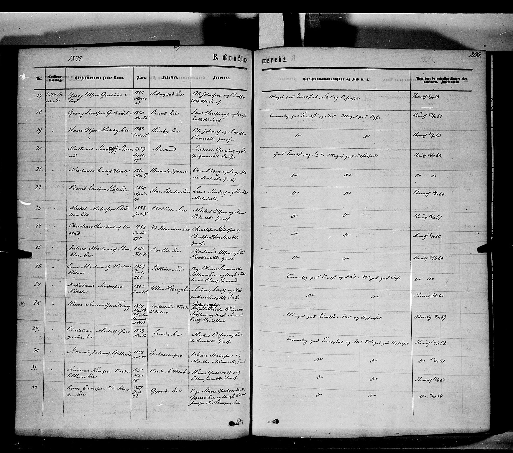 Stange prestekontor, SAH/PREST-002/K/L0013: Parish register (official) no. 13, 1862-1879, p. 206