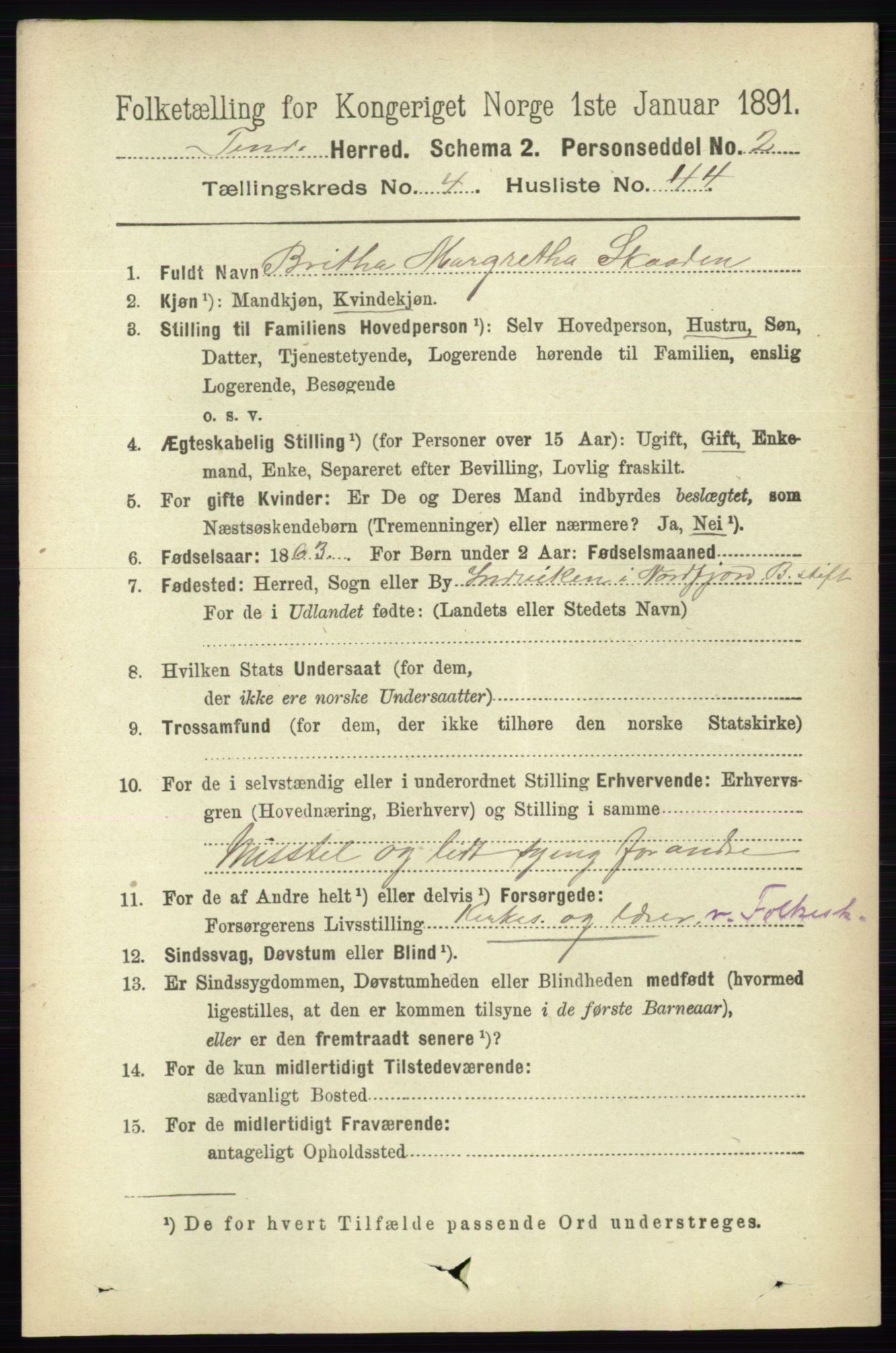 RA, 1891 census for 0826 Tinn, 1891, p. 970
