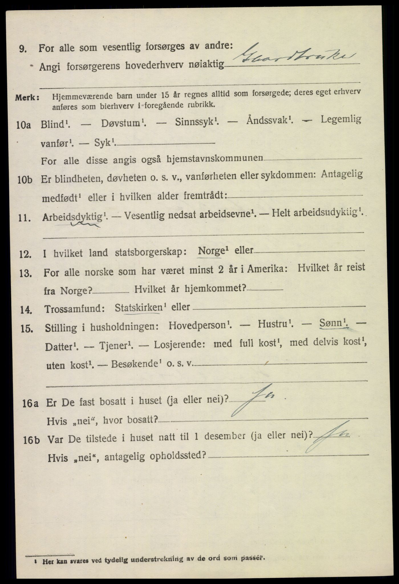 SAH, 1920 census for Fåberg, 1920, p. 9217