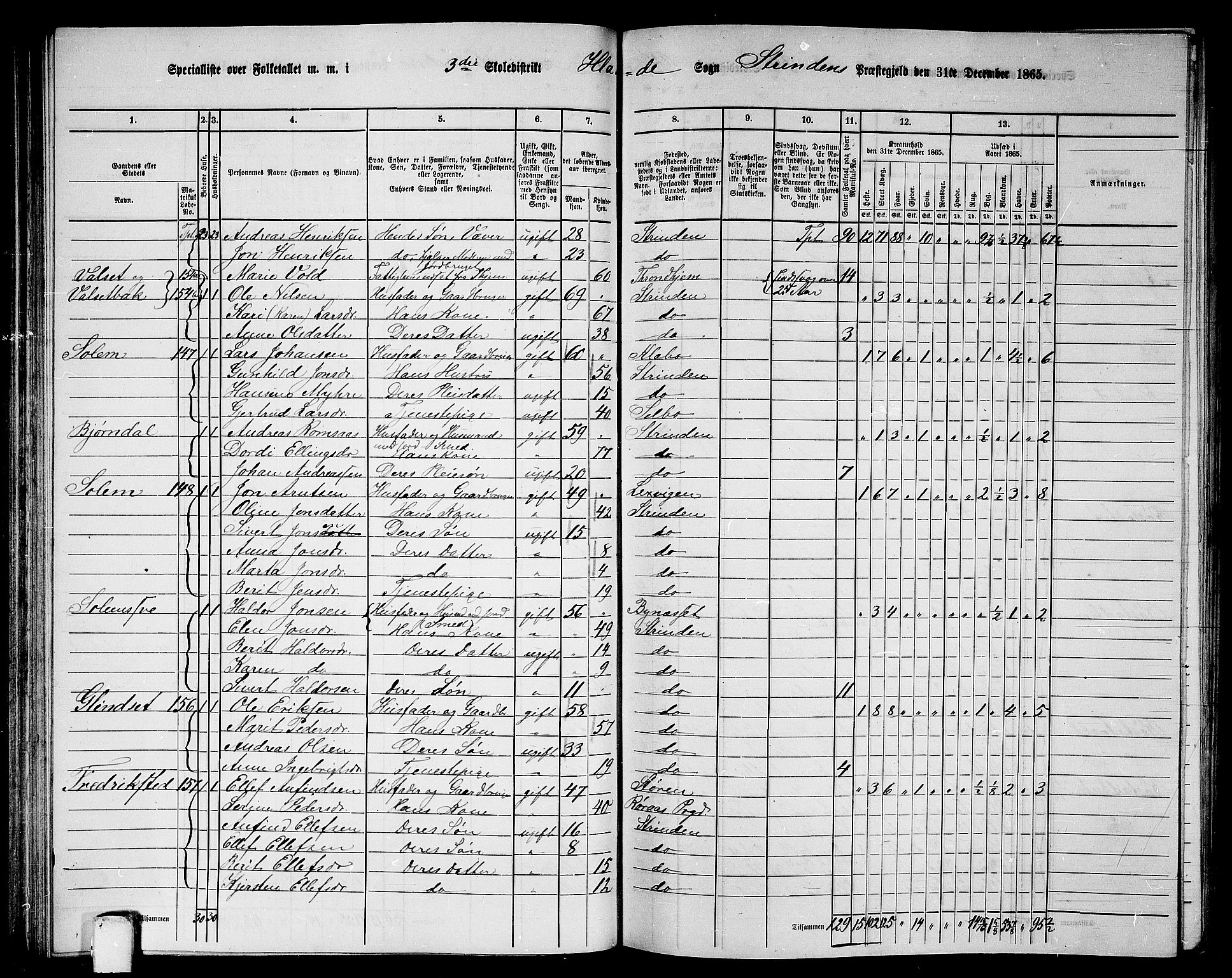 RA, 1865 census for Strinda, 1865, p. 76