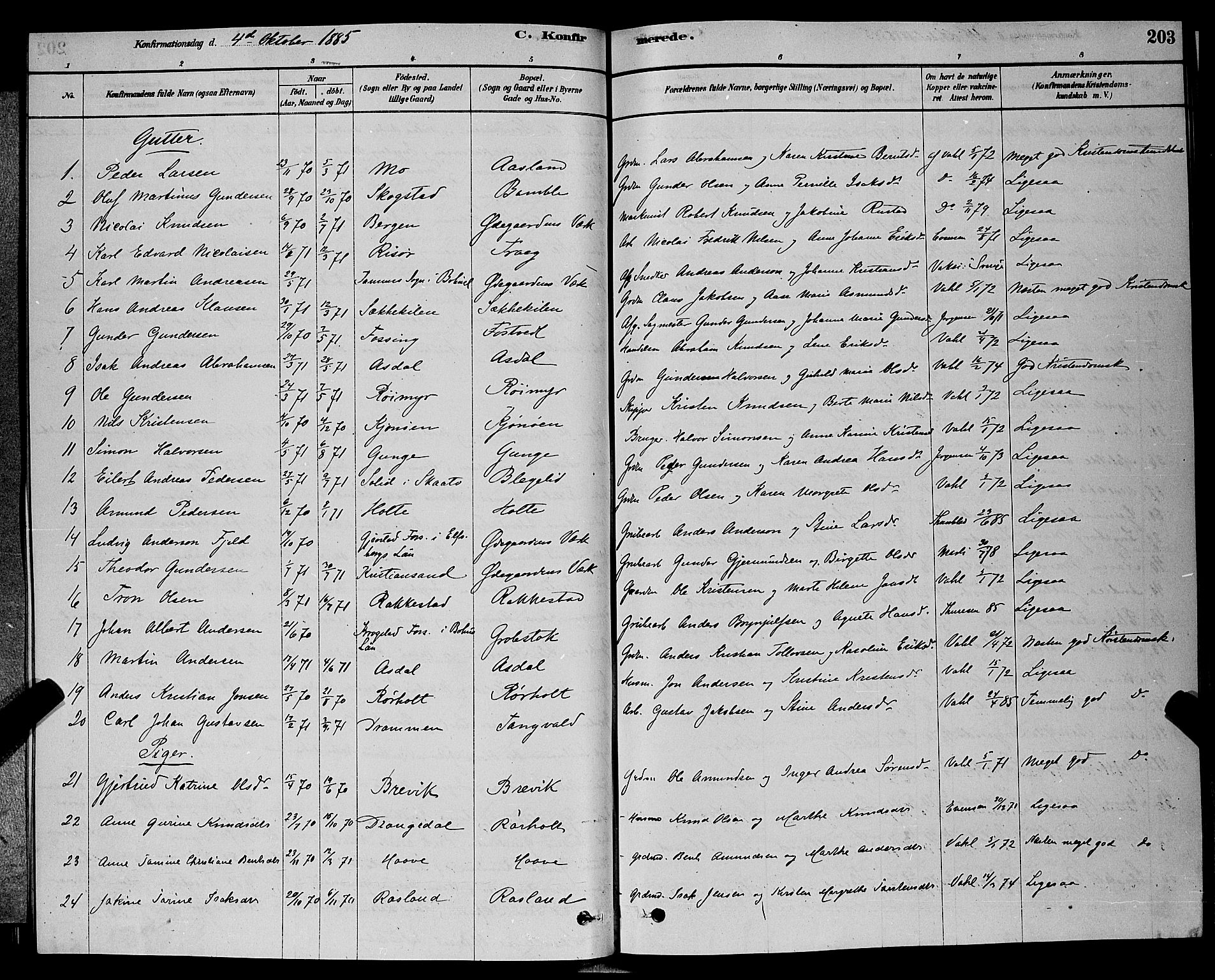 Bamble kirkebøker, AV/SAKO-A-253/G/Ga/L0008: Parish register (copy) no. I 8, 1878-1888, p. 203