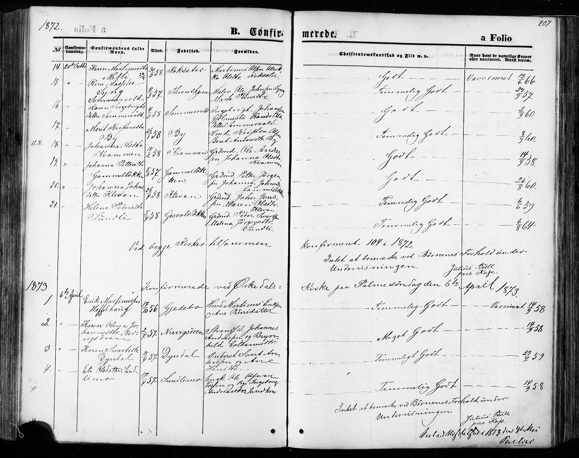 Ministerialprotokoller, klokkerbøker og fødselsregistre - Sør-Trøndelag, AV/SAT-A-1456/668/L0807: Parish register (official) no. 668A07, 1870-1880, p. 207