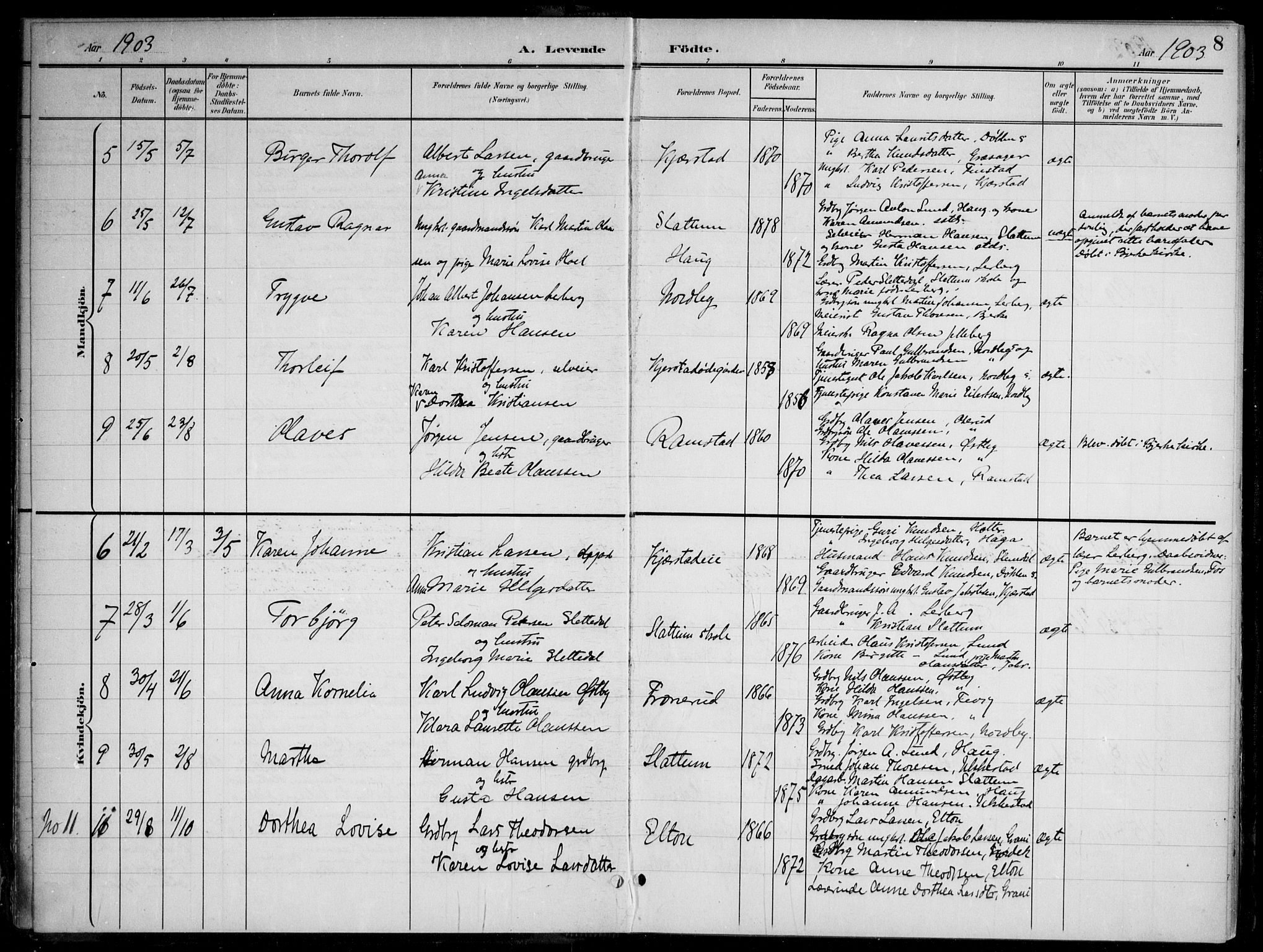 Nannestad prestekontor Kirkebøker, AV/SAO-A-10414a/G/Gb/L0001: Parish register (copy) no. II 1, 1901-1917, p. 8