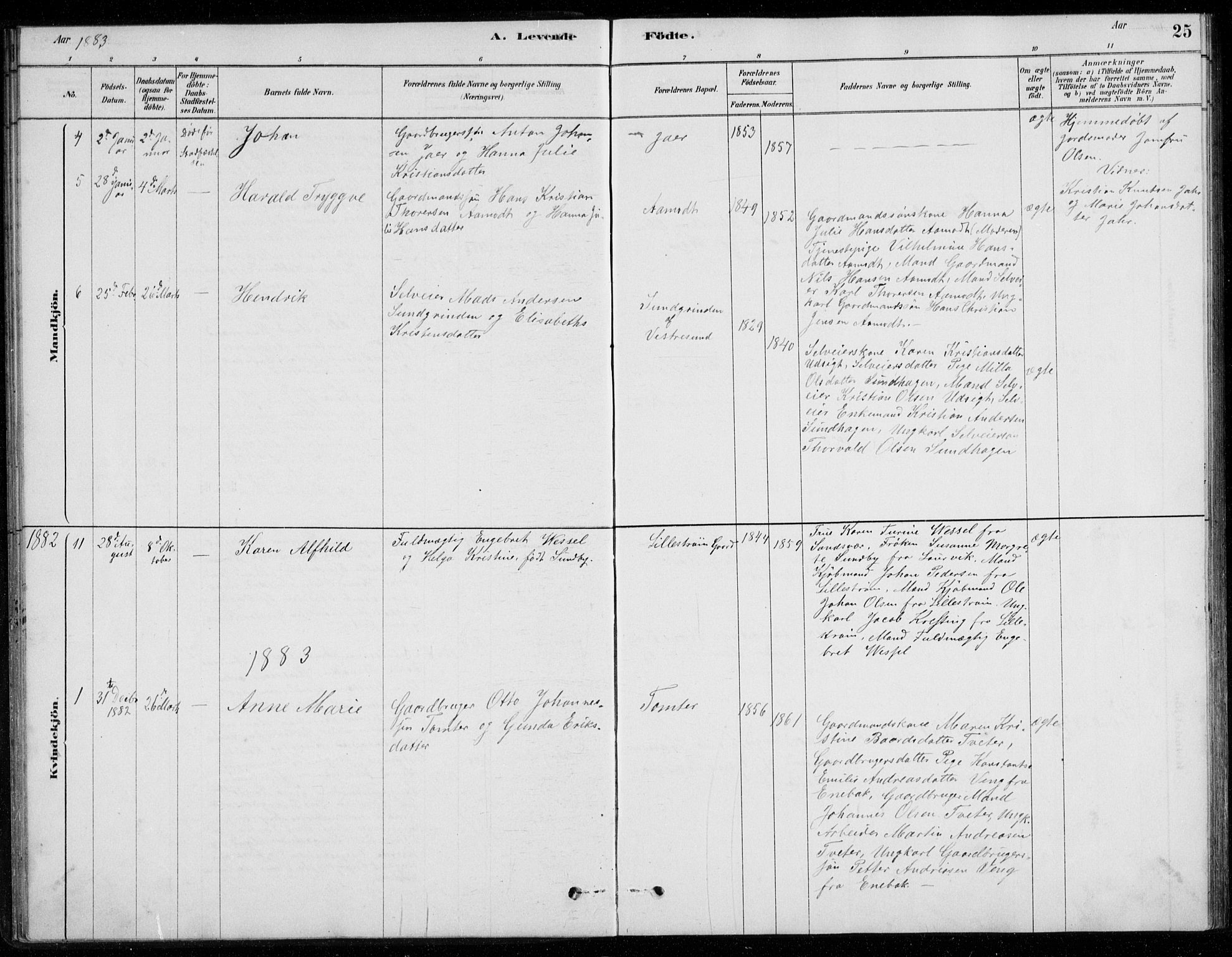 Fet prestekontor Kirkebøker, SAO/A-10370a/G/Gb/L0002: Parish register (copy) no. II 2, 1878-1911, p. 25