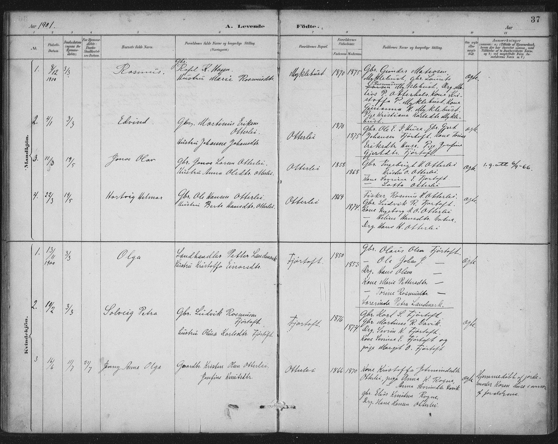 Ministerialprotokoller, klokkerbøker og fødselsregistre - Møre og Romsdal, SAT/A-1454/538/L0522: Parish register (official) no. 538A01, 1884-1913, p. 37