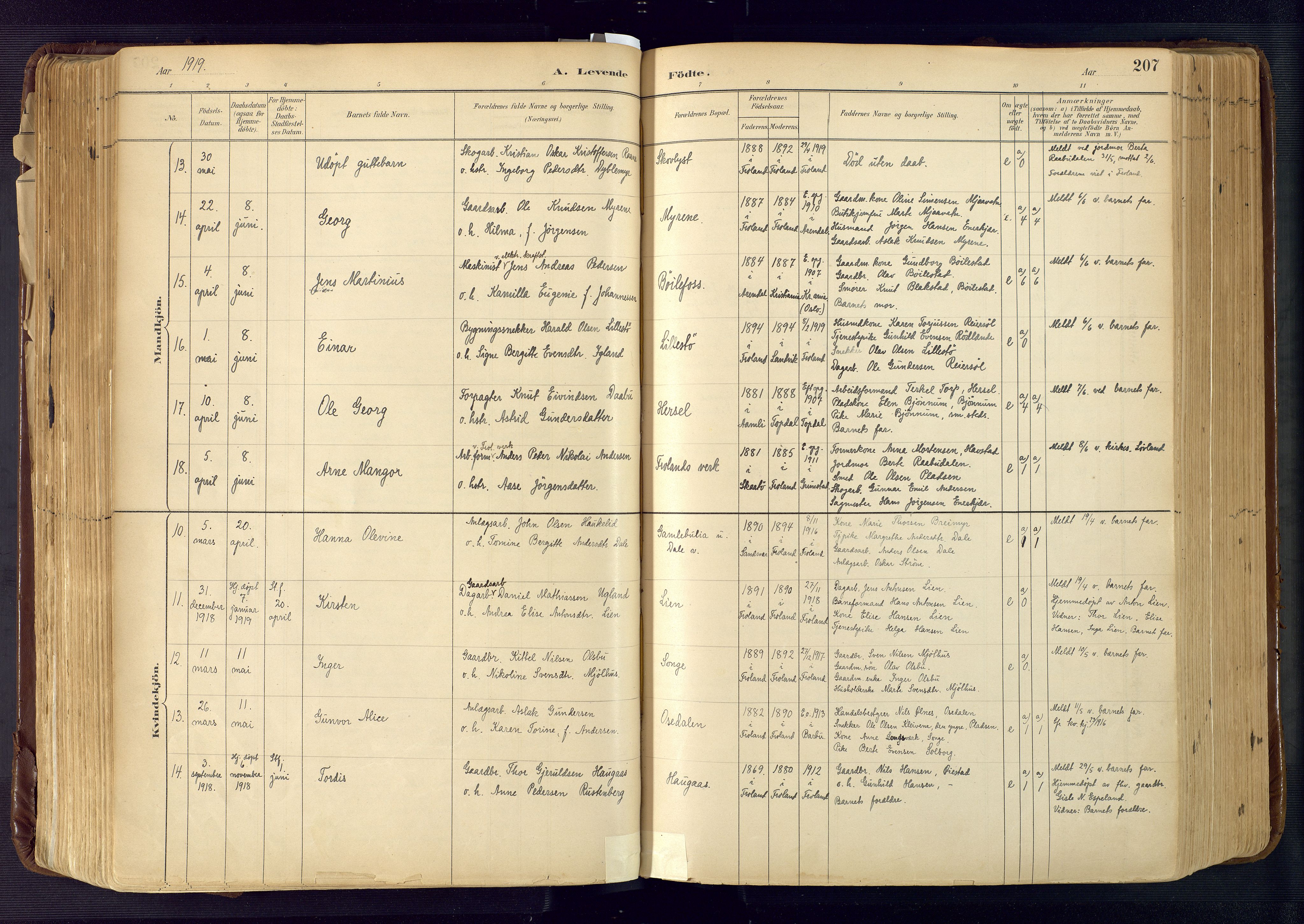 Froland sokneprestkontor, AV/SAK-1111-0013/F/Fa/L0005: Parish register (official) no. A 5, 1882-1921, p. 207