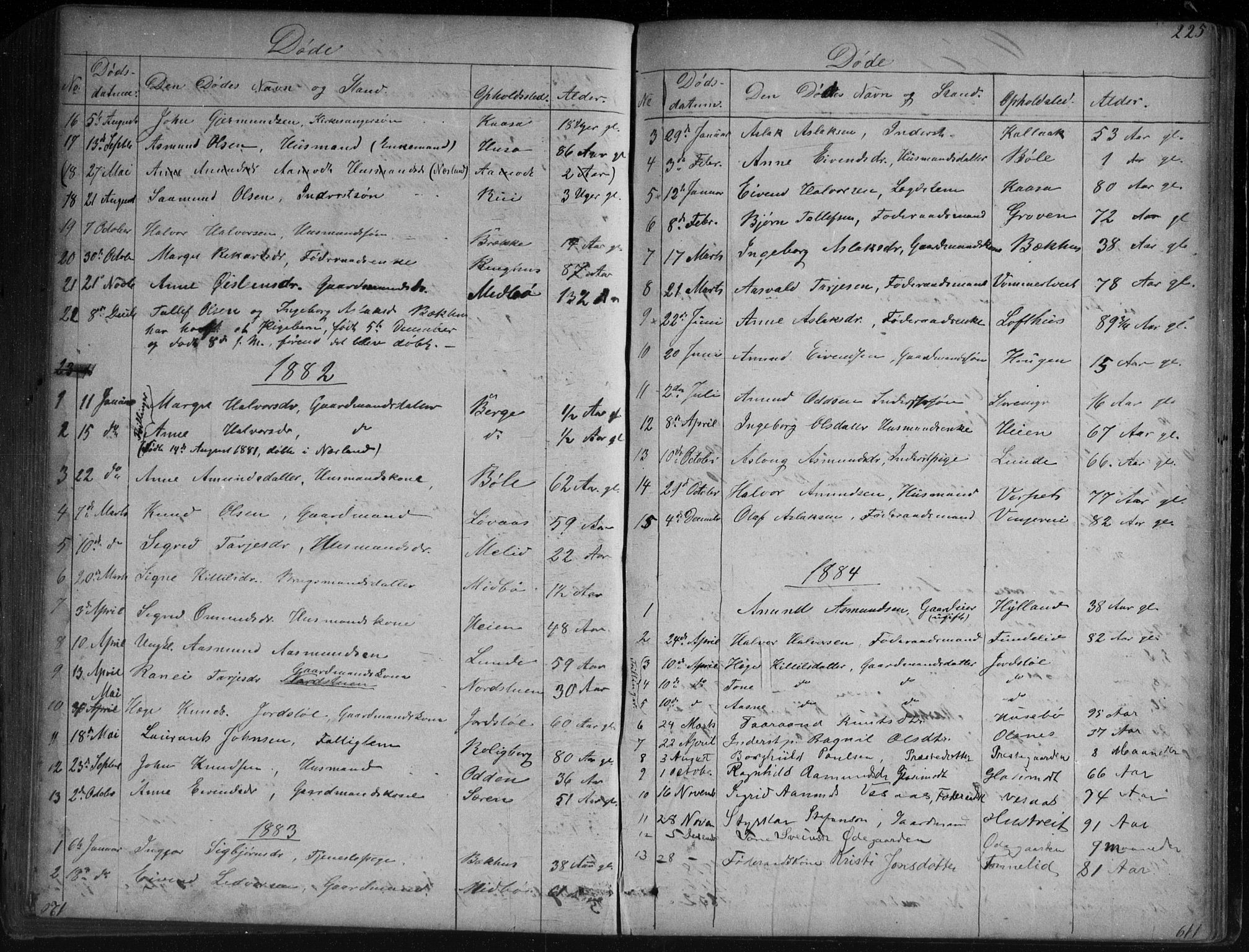 Vinje kirkebøker, SAKO/A-312/G/Ga/L0002: Parish register (copy) no. I 2, 1849-1893, p. 225