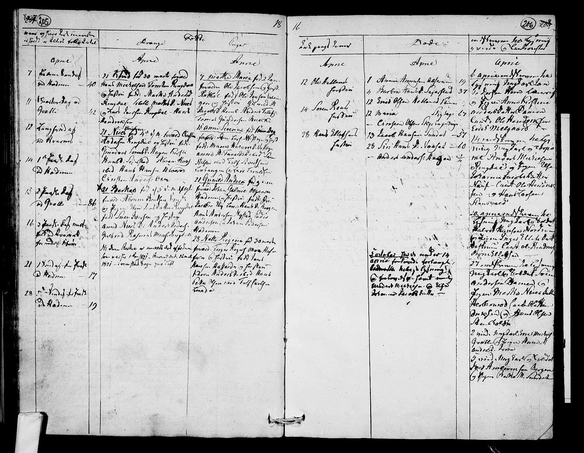 Hedrum kirkebøker, AV/SAKO-A-344/F/Fa/L0003: Parish register (official) no. I 3, 1807-1816, p. 205-206