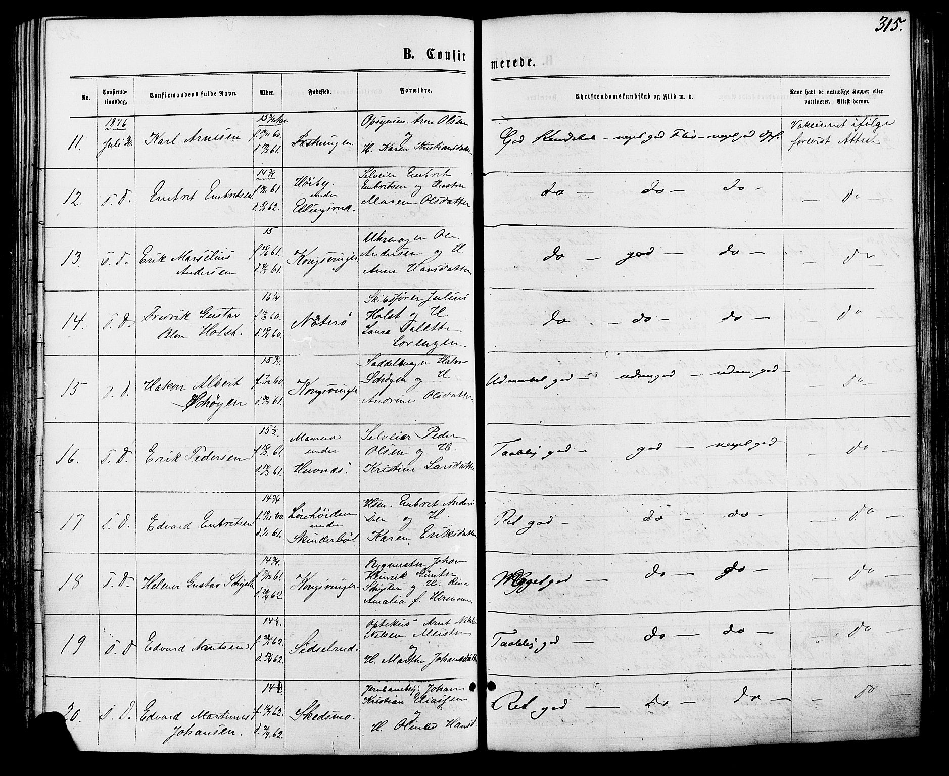 Vinger prestekontor, SAH/PREST-024/H/Ha/Haa/L0012: Parish register (official) no. 12, 1871-1880, p. 315
