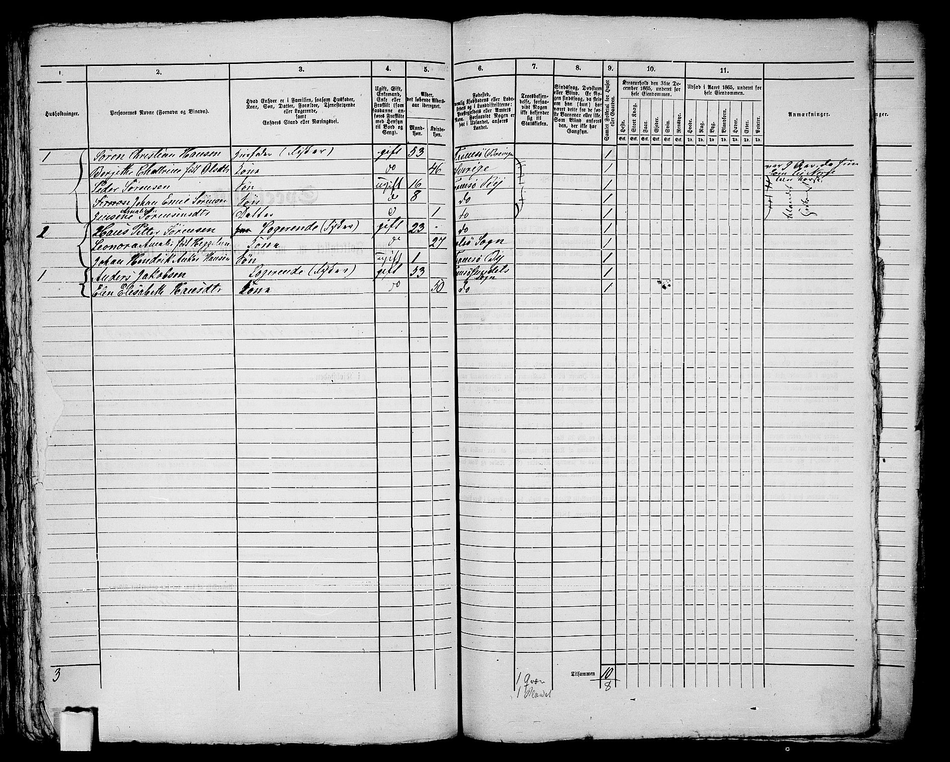 RA, 1865 census for Tromsø, 1865, p. 728