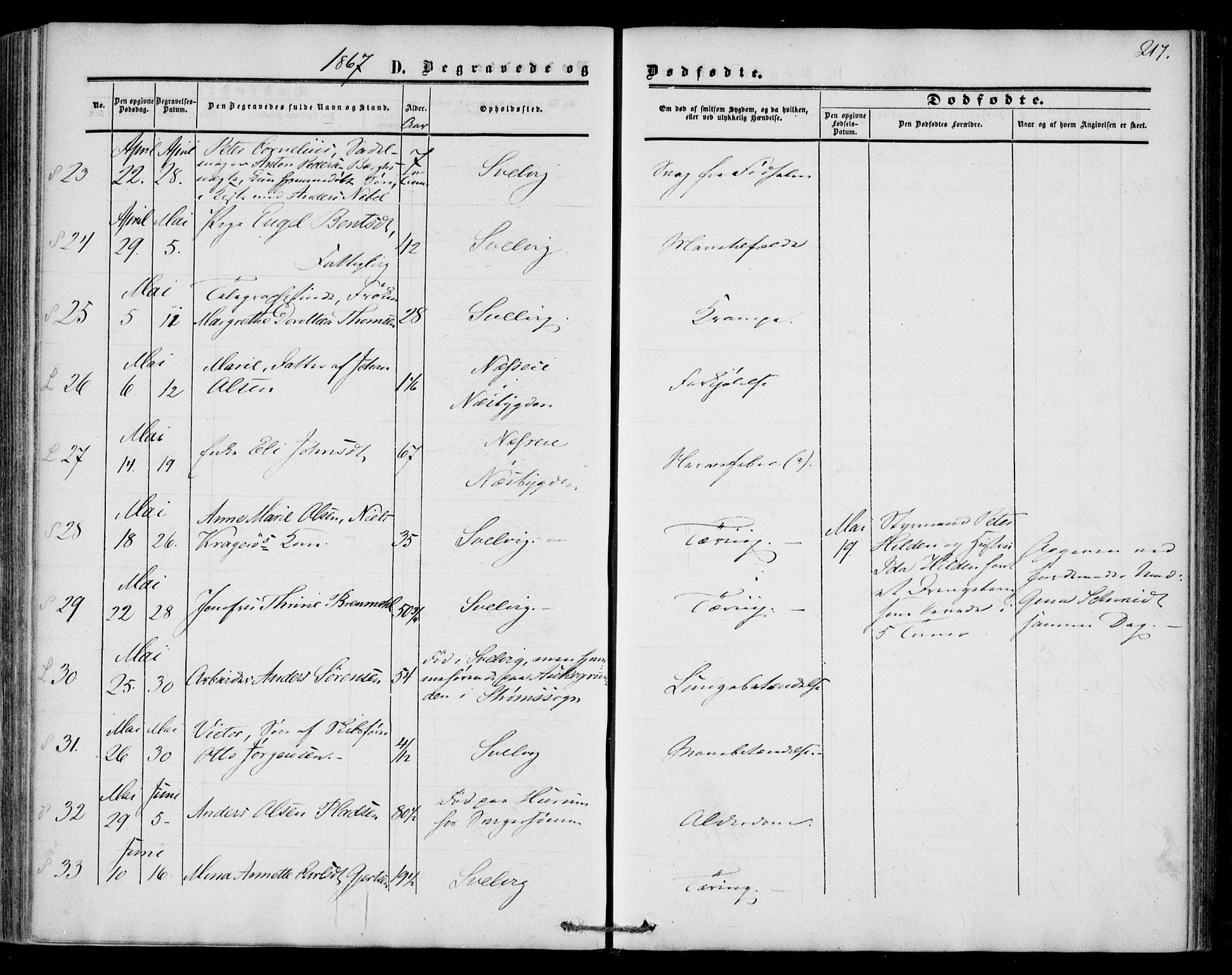 Strømm kirkebøker, SAKO/A-322/F/Fa/L0001: Parish register (official) no. I 1, 1861-1869, p. 217