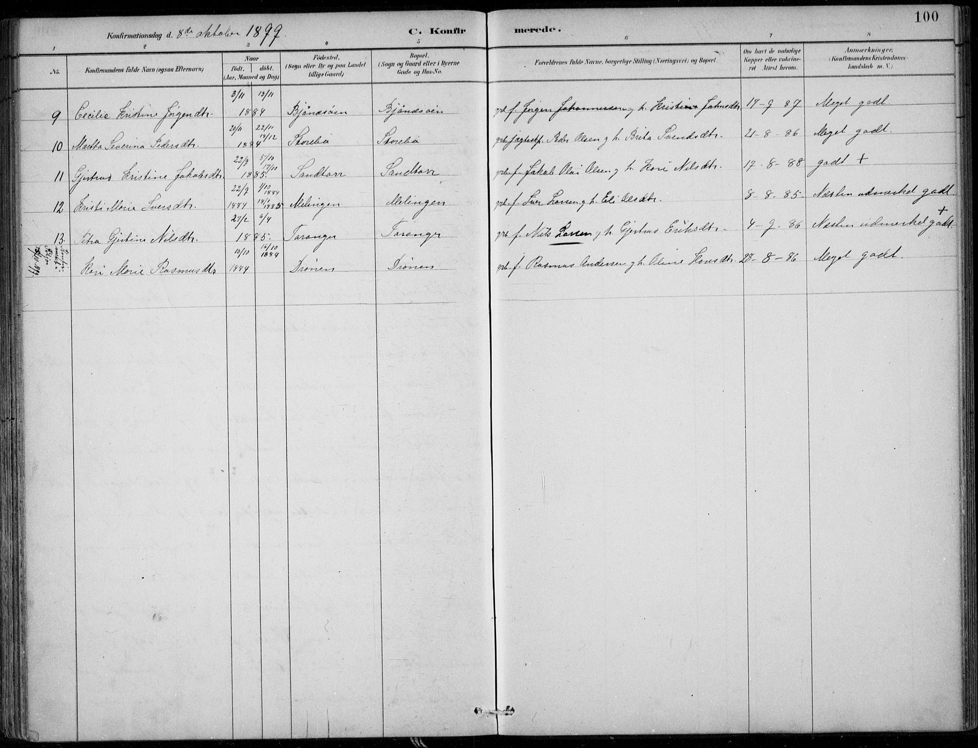 Sund sokneprestembete, AV/SAB-A-99930: Parish register (official) no. C  1, 1882-1899, p. 100