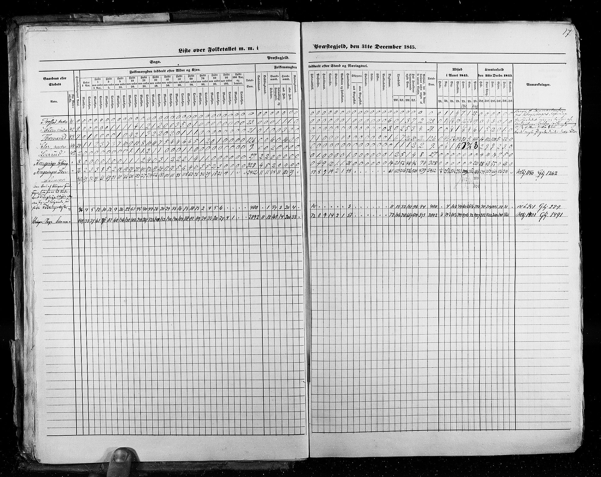 RA, Census 1845, vol. 3: Hedemarken amt og Kristians amt, 1845, p. 17
