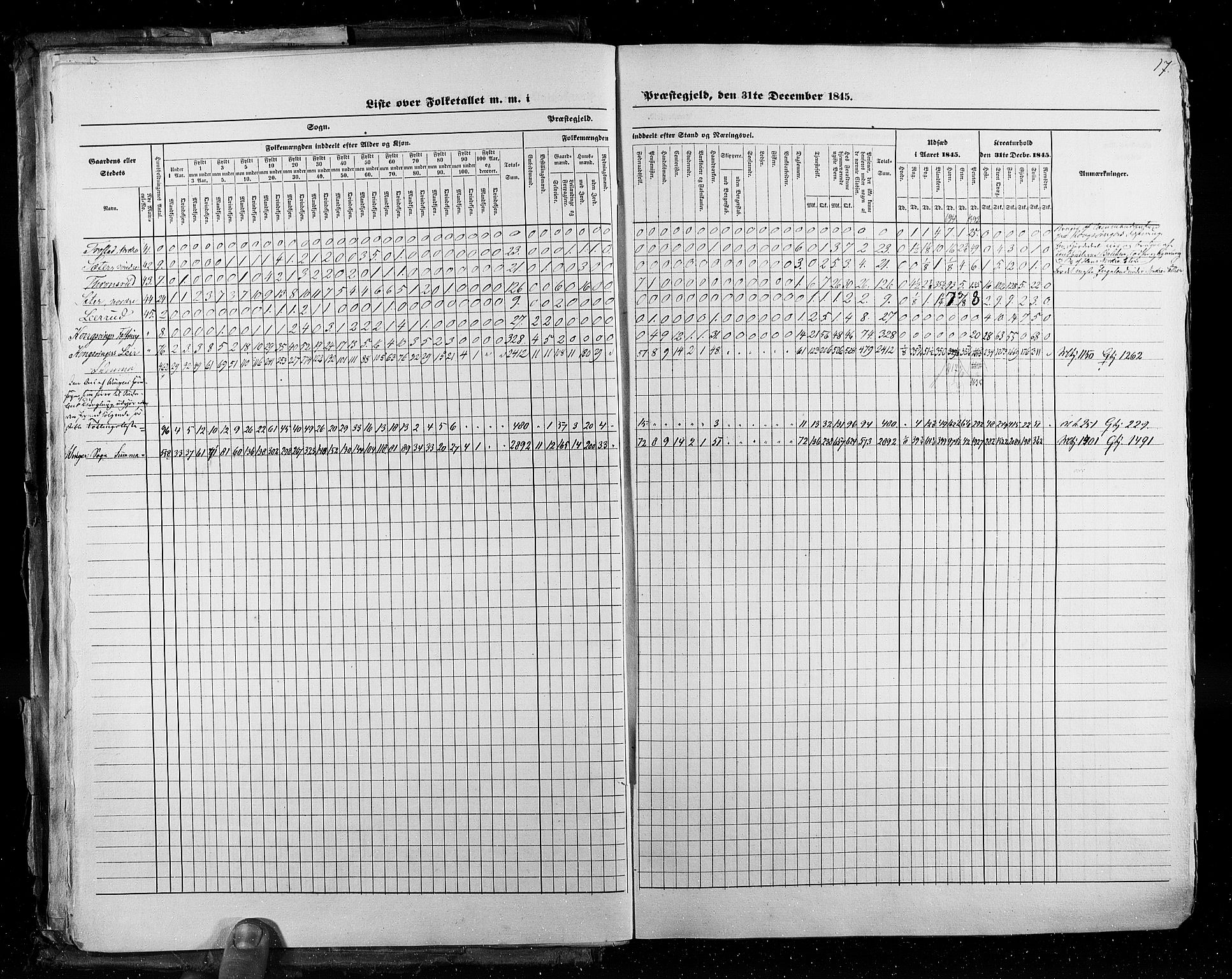 RA, Census 1845, vol. 3: Hedemarken amt og Kristians amt, 1845, p. 17