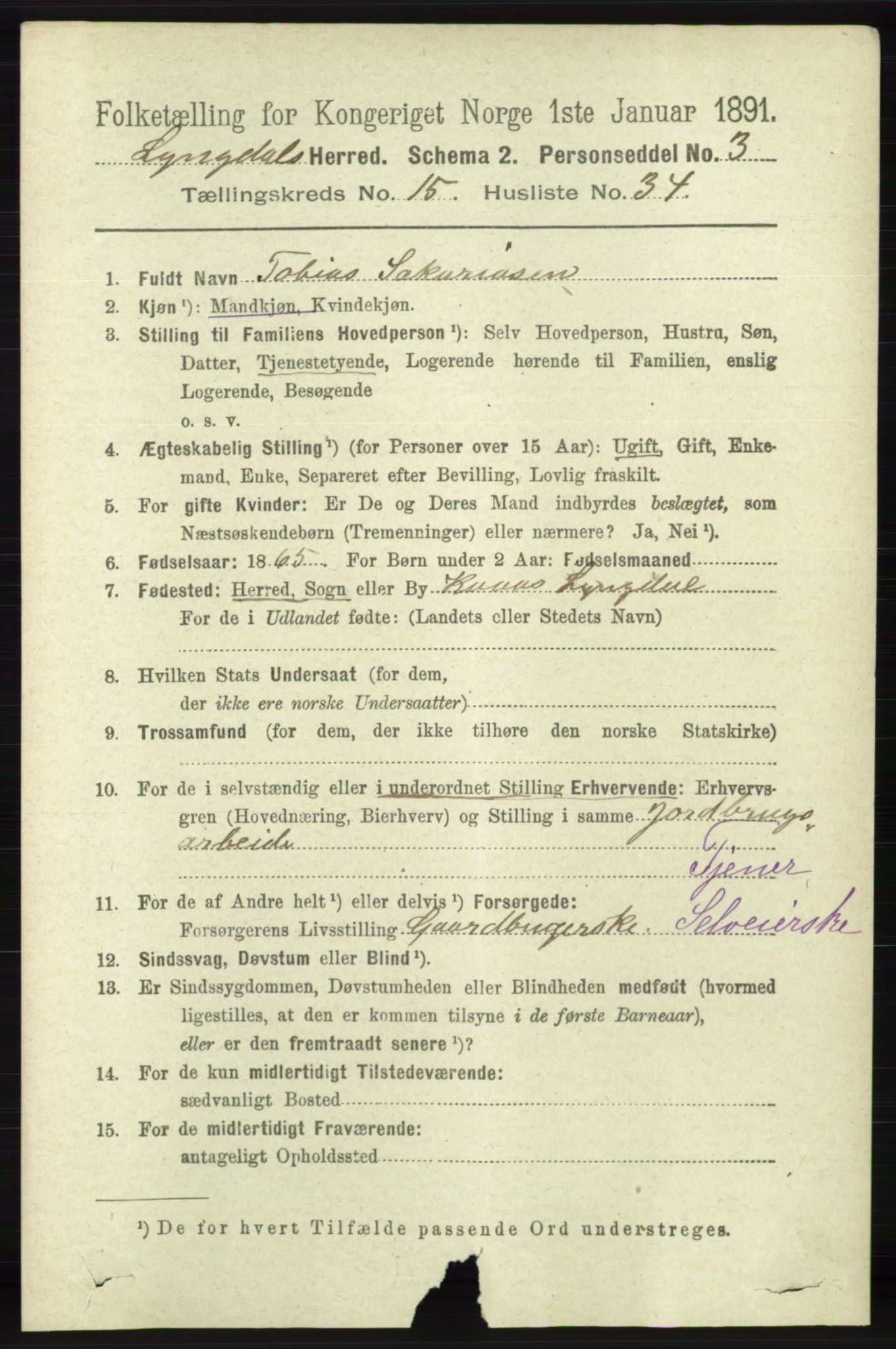 RA, 1891 census for 1032 Lyngdal, 1891, p. 6207