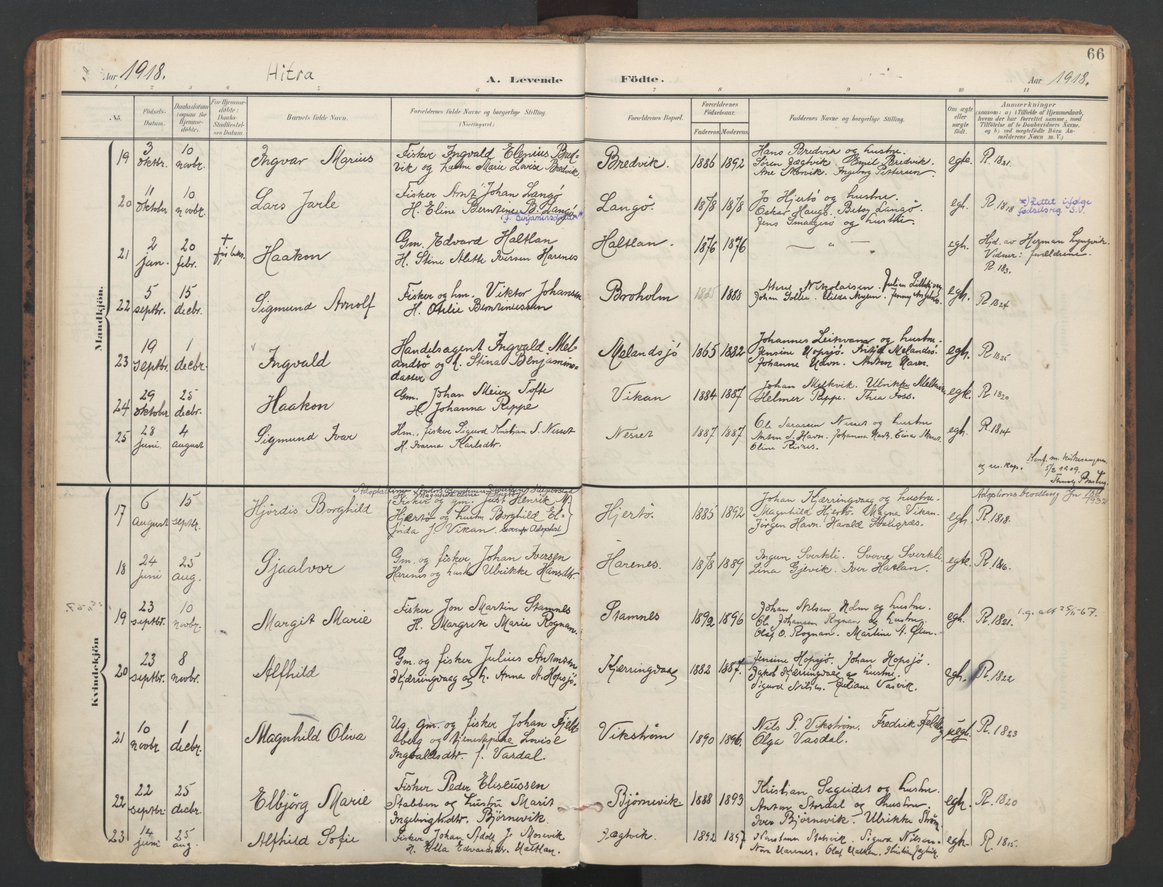 Ministerialprotokoller, klokkerbøker og fødselsregistre - Sør-Trøndelag, SAT/A-1456/634/L0537: Parish register (official) no. 634A13, 1896-1922, p. 66