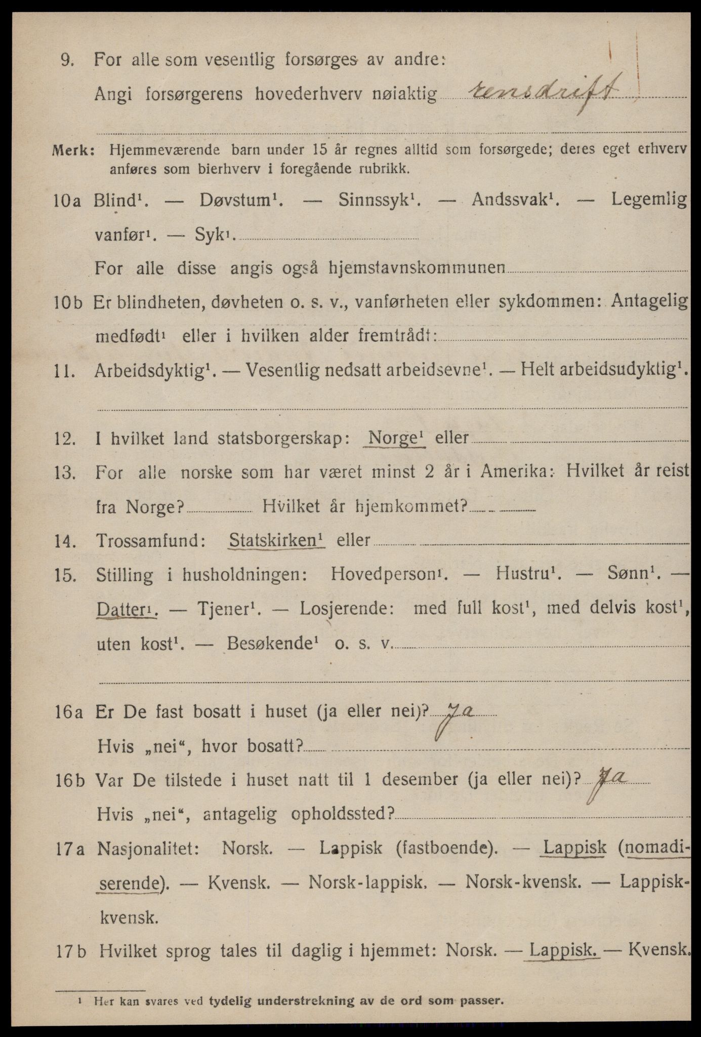 SAT, 1920 census for Røros, 1920, p. 10899