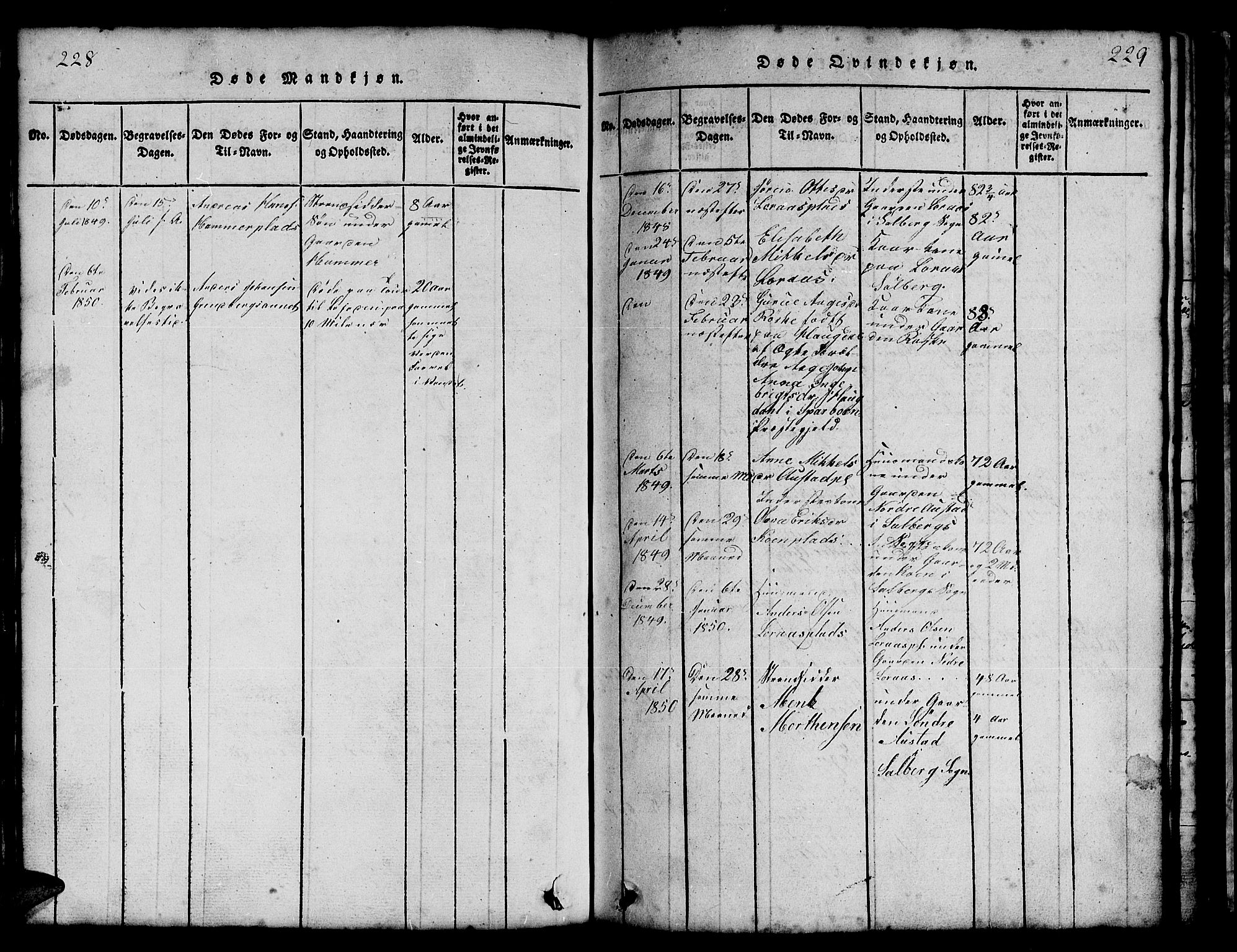 Ministerialprotokoller, klokkerbøker og fødselsregistre - Nord-Trøndelag, AV/SAT-A-1458/731/L0310: Parish register (copy) no. 731C01, 1816-1874, p. 228-229