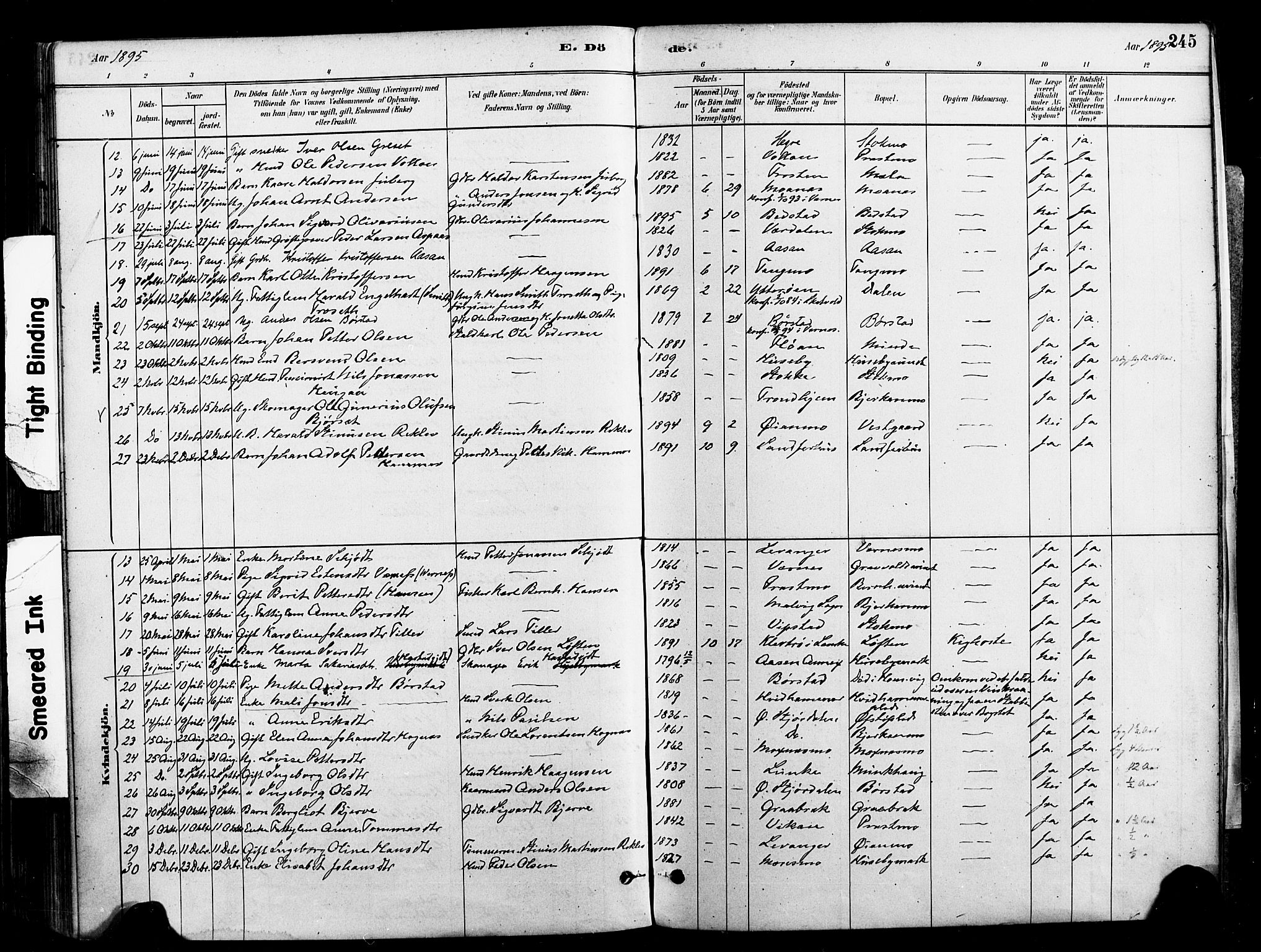 Ministerialprotokoller, klokkerbøker og fødselsregistre - Nord-Trøndelag, SAT/A-1458/709/L0077: Parish register (official) no. 709A17, 1880-1895, p. 245