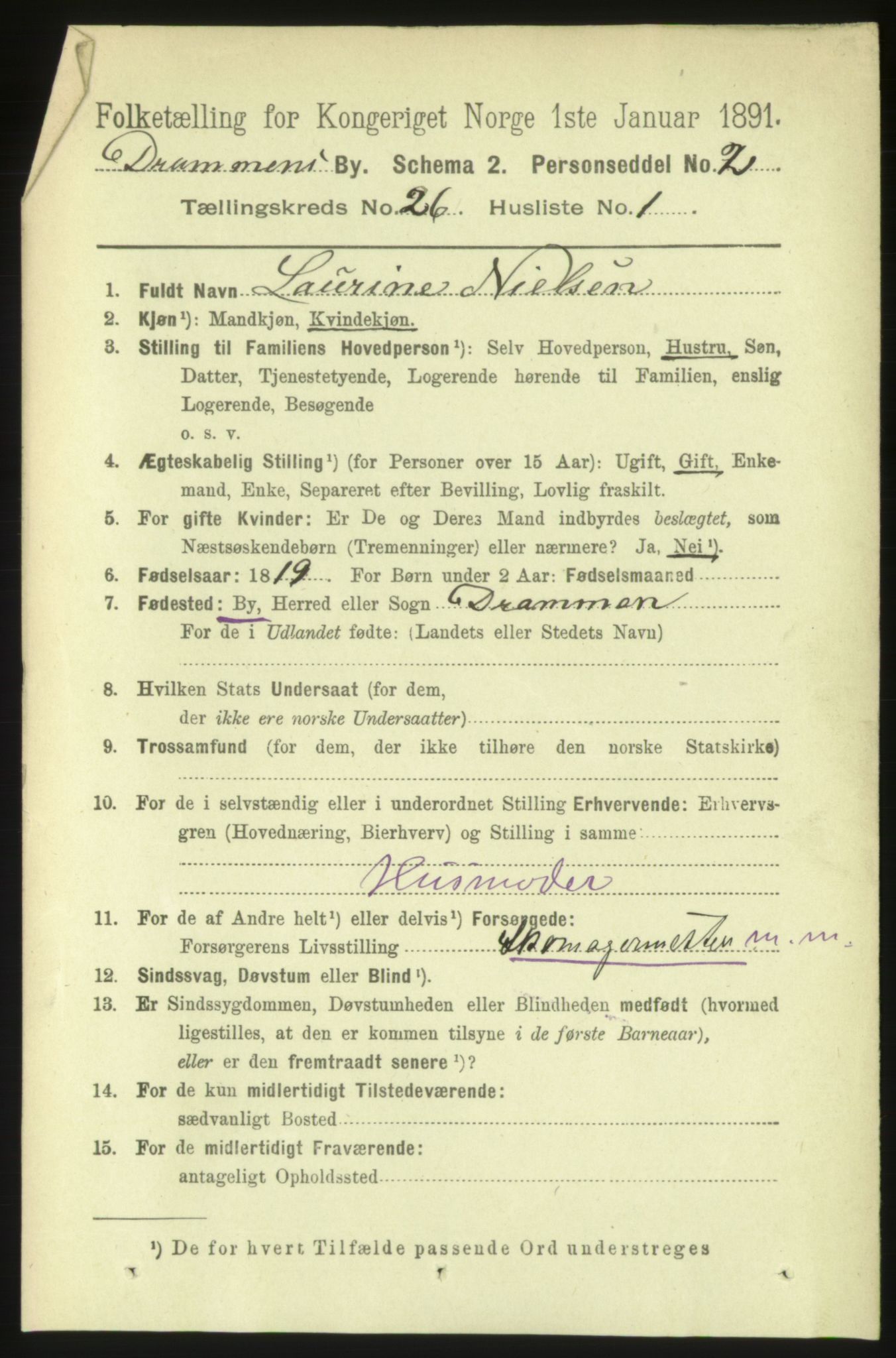 RA, 1891 census for 0602 Drammen, 1891, p. 15792