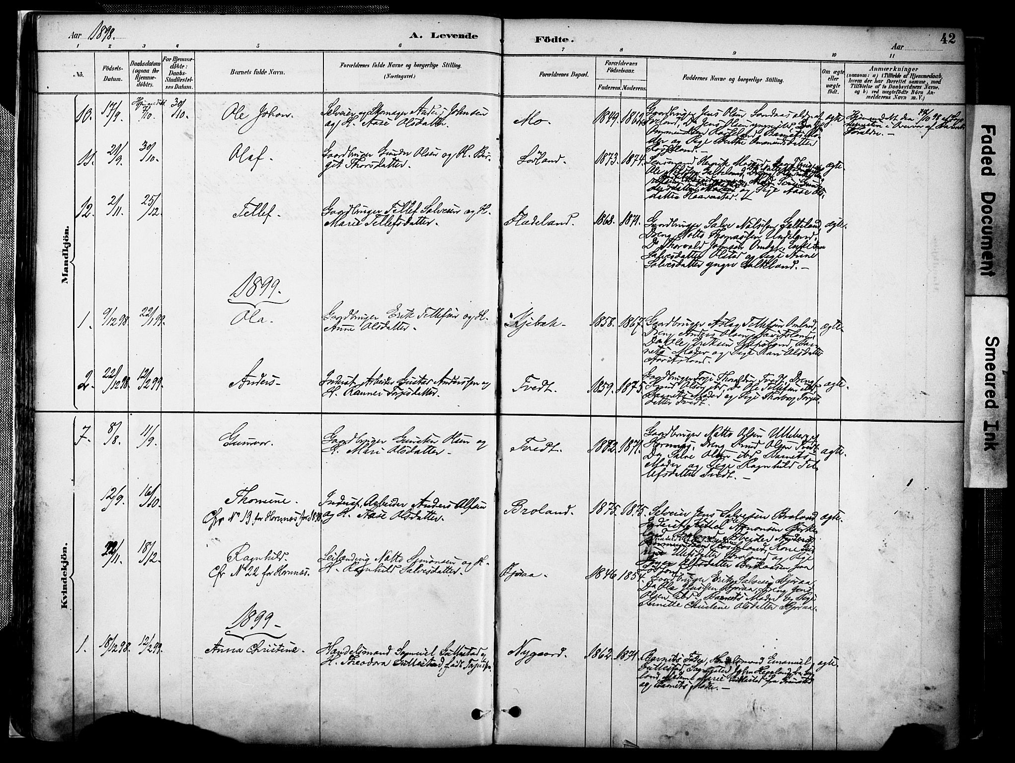 Evje sokneprestkontor, AV/SAK-1111-0008/F/Fa/Faa/L0007: Parish register (official) no. A 7, 1884-1909, p. 42