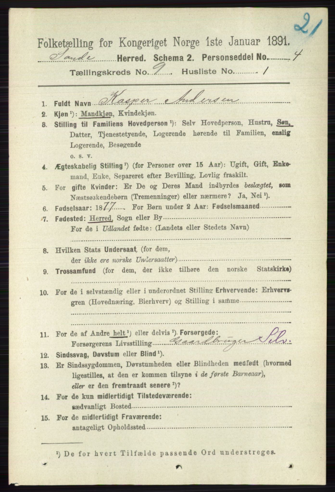 RA, 1891 census for 0713 Sande, 1891, p. 3935