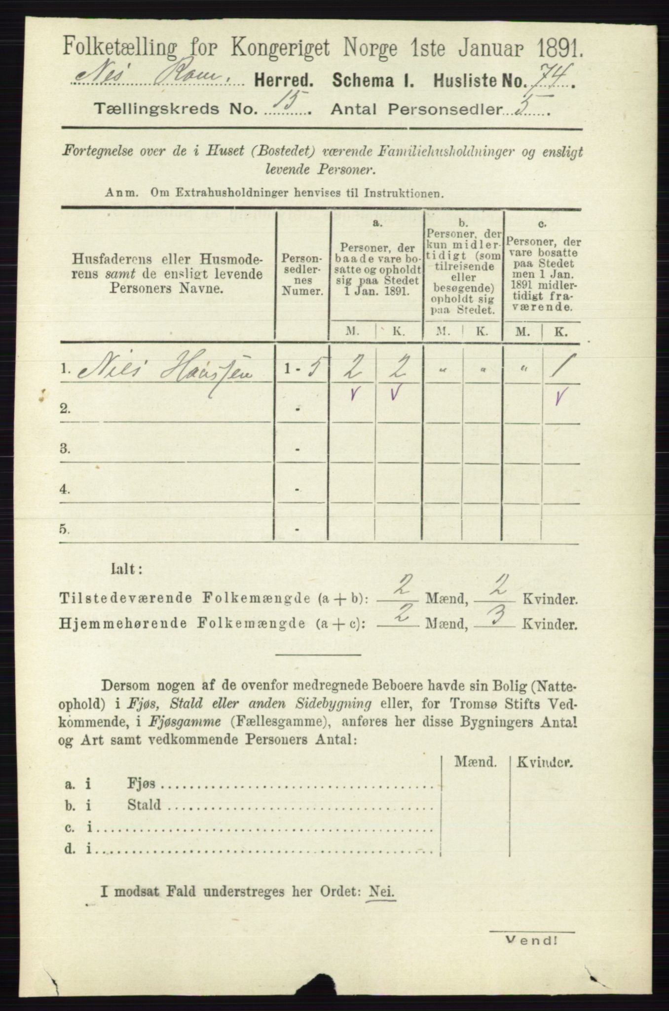 RA, 1891 census for 0236 Nes, 1891, p. 8995