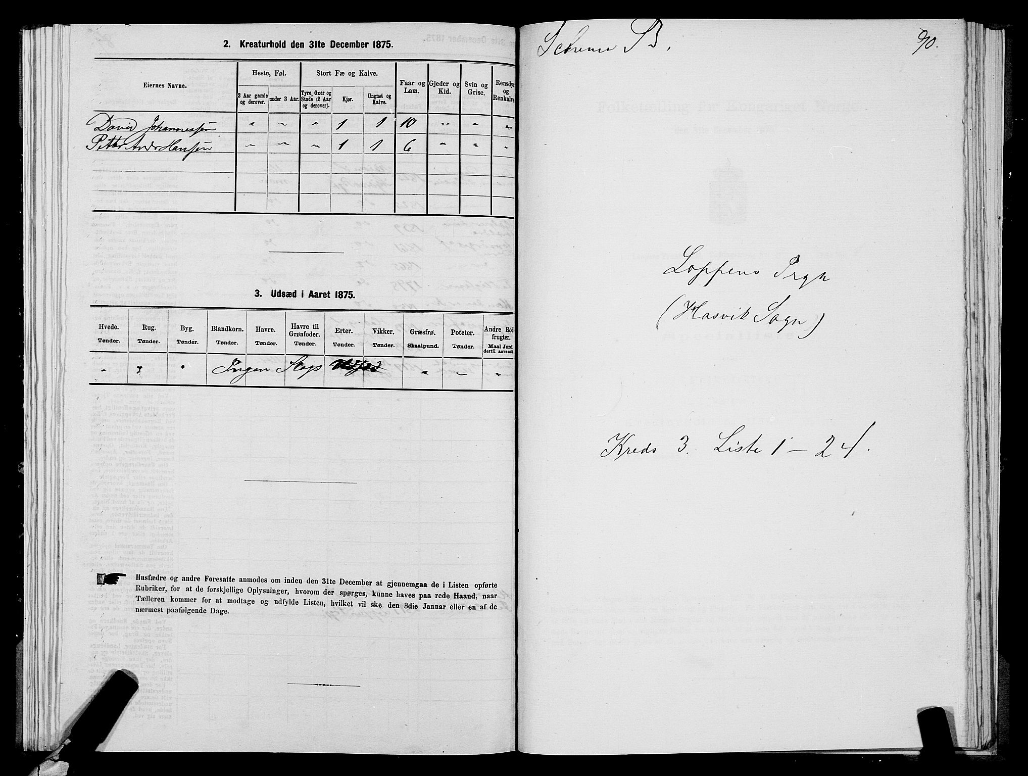 SATØ, 1875 census for 2014P Loppa, 1875, p. 1090
