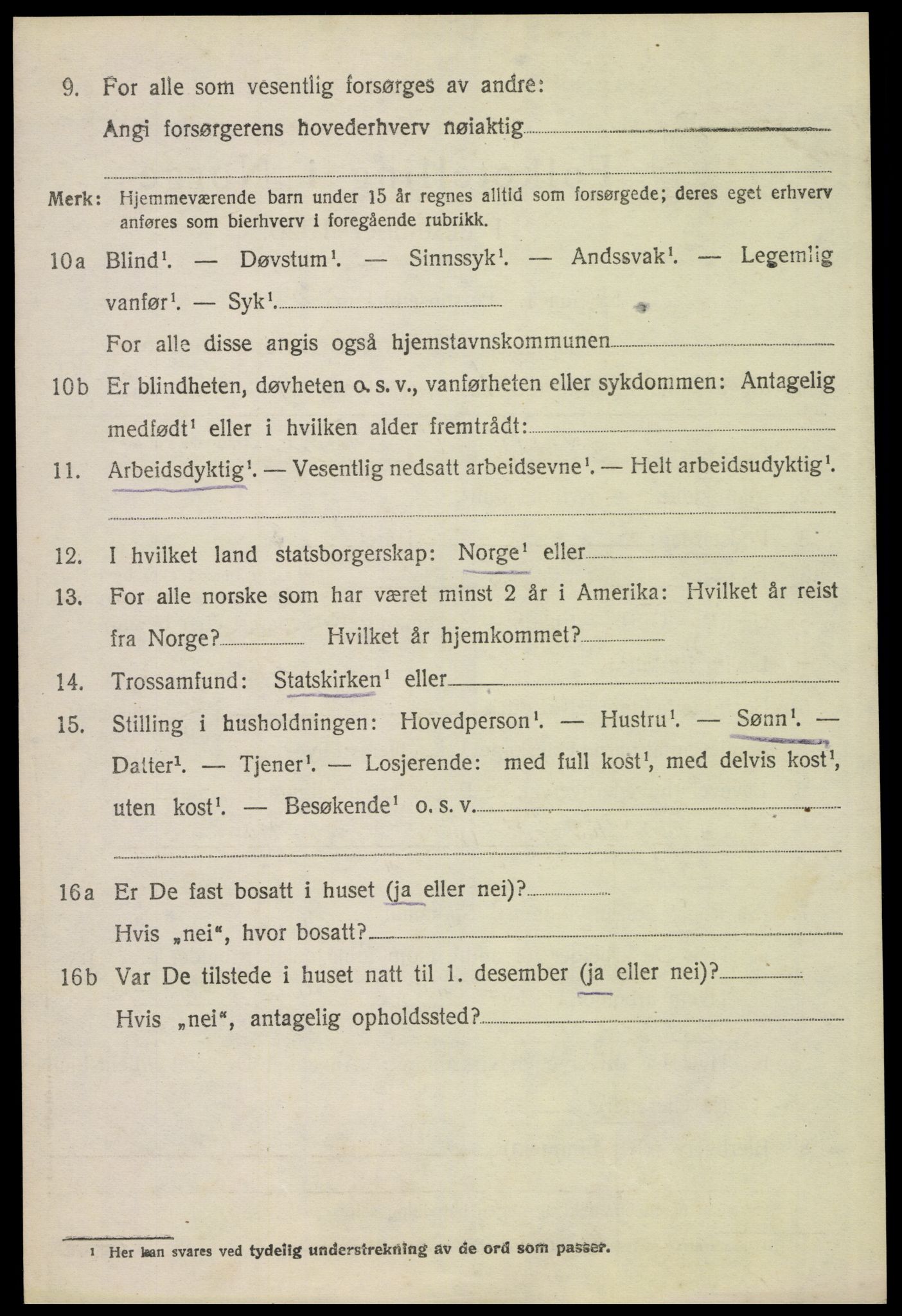 SAH, 1920 census for Åsnes, 1920, p. 13347