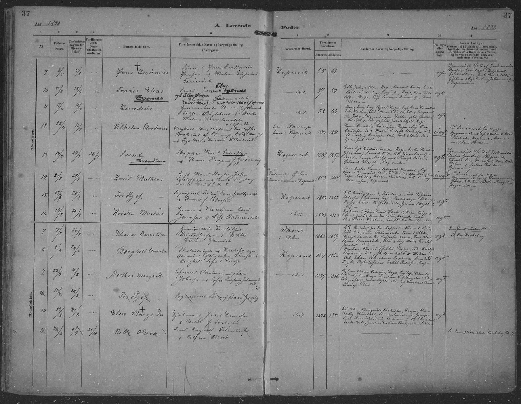 Kopervik sokneprestkontor, SAST/A-101850/H/Ha/Haa/L0001: Parish register (official) no. A 1, 1880-1919, p. 37