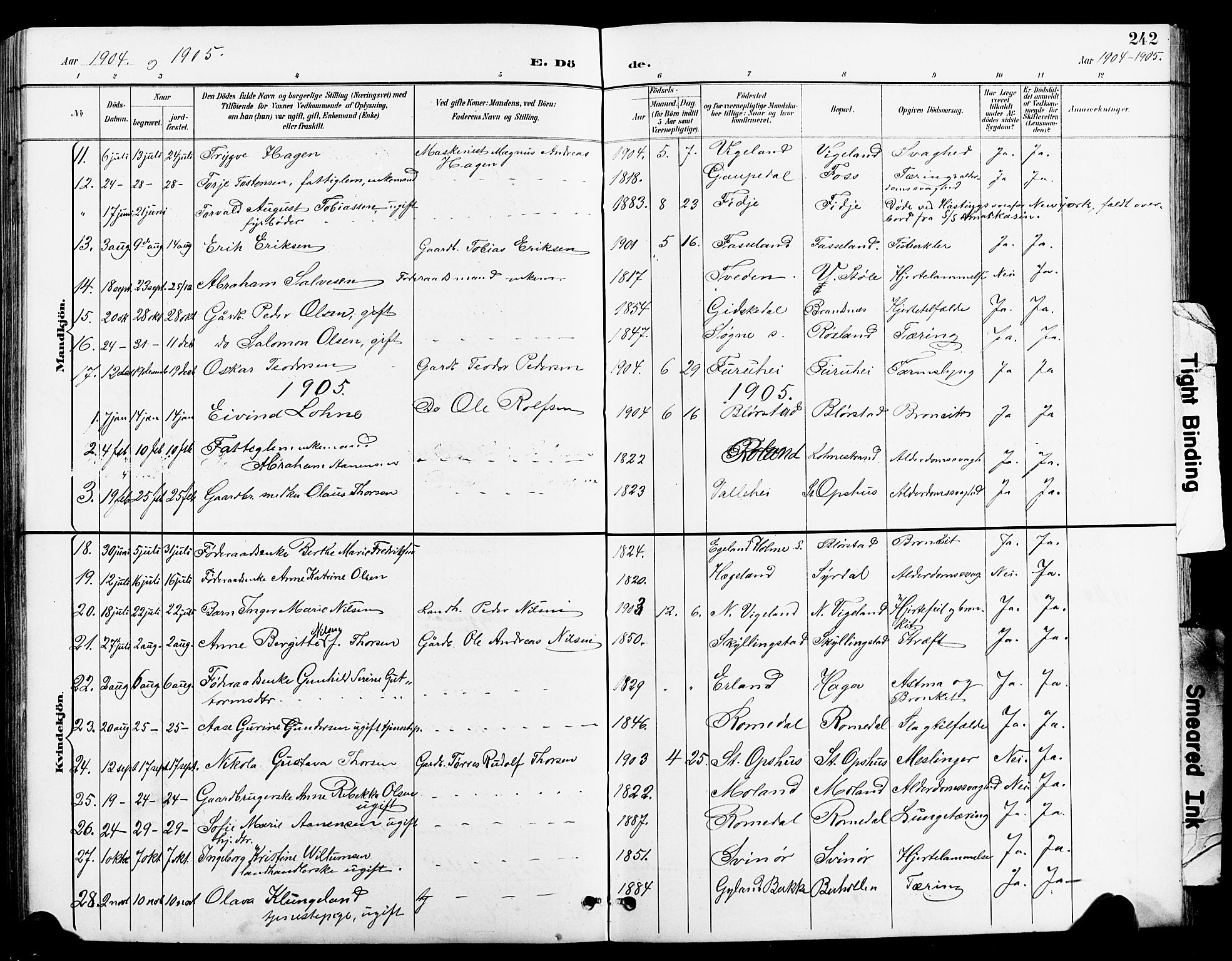 Sør-Audnedal sokneprestkontor, AV/SAK-1111-0039/F/Fb/Fbb/L0006: Parish register (copy) no. B 6, 1893-1915, p. 242