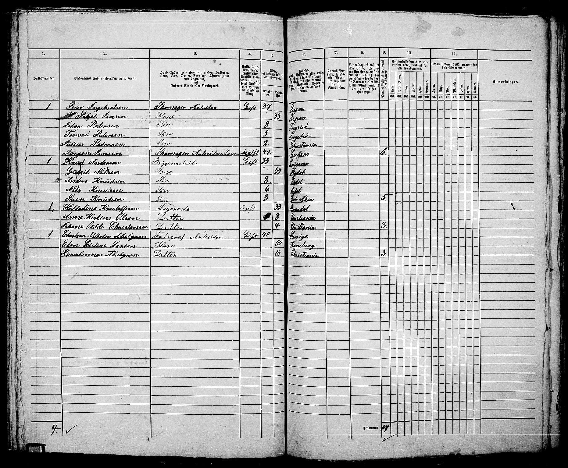 RA, 1865 census for Kristiania, 1865, p. 4251