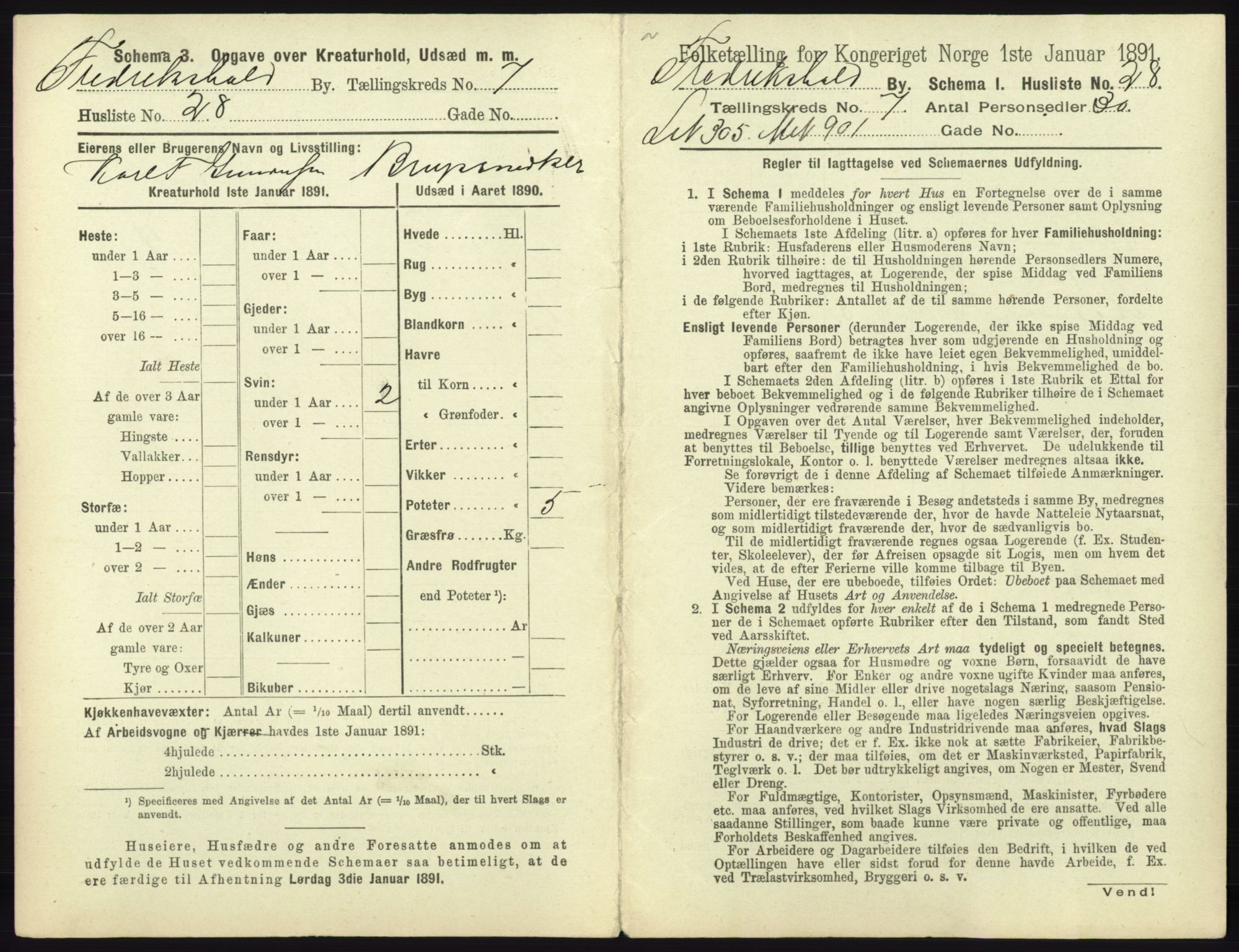 RA, 1891 census for 0101 Fredrikshald, 1891, p. 700