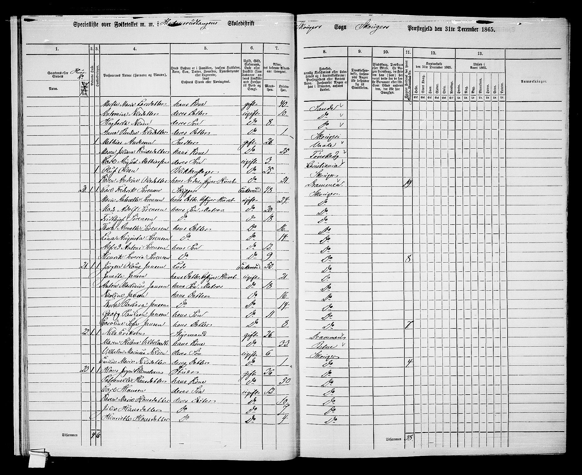 RA, 1865 census for Skoger, 1865, p. 19