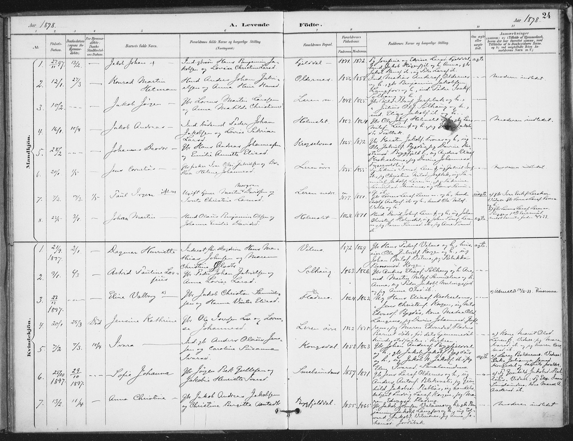 Ministerialprotokoller, klokkerbøker og fødselsregistre - Nordland, SAT/A-1459/826/L0380: Parish register (official) no. 826A03, 1891-1911, p. 24