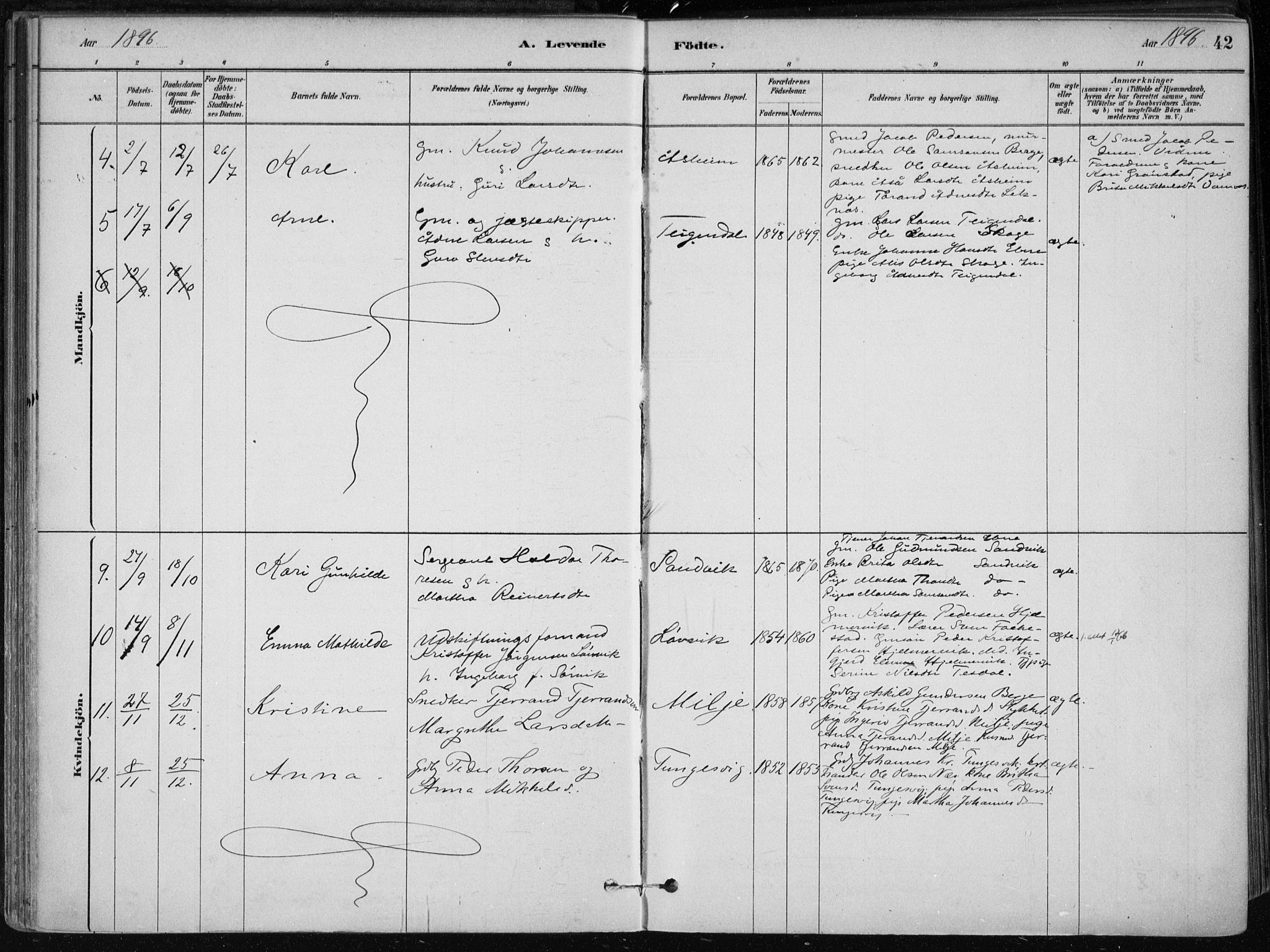 Skånevik sokneprestembete, SAB/A-77801/H/Haa: Parish register (official) no. B 1, 1879-1914, p. 42