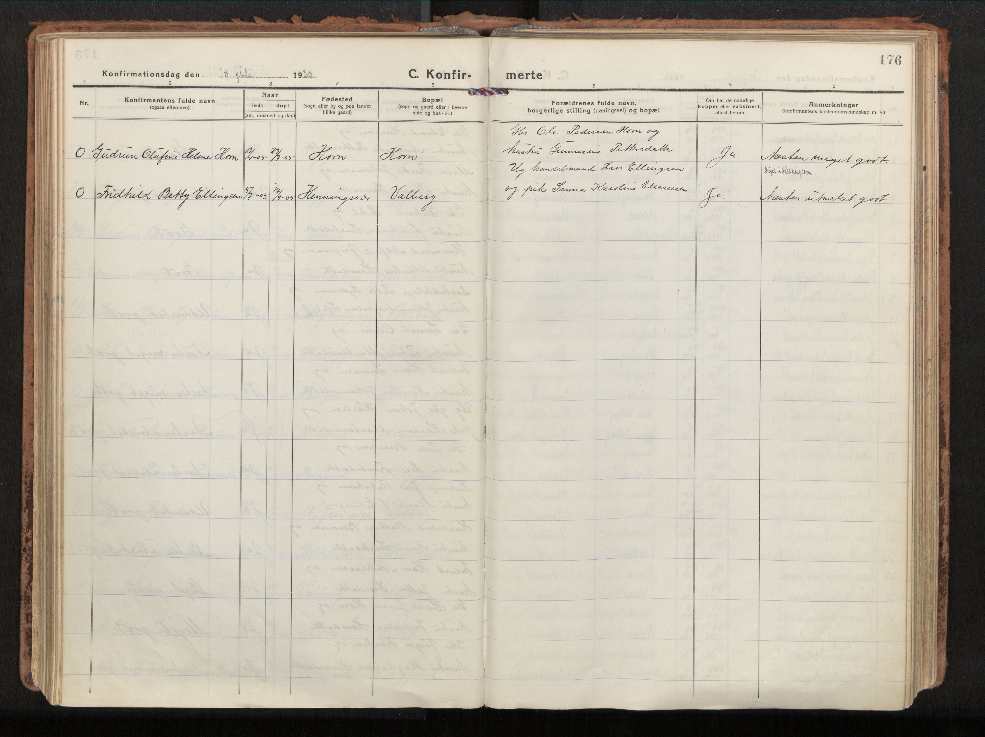 Ministerialprotokoller, klokkerbøker og fødselsregistre - Nordland, AV/SAT-A-1459/880/L1136: Parish register (official) no. 880A10, 1919-1927, p. 176