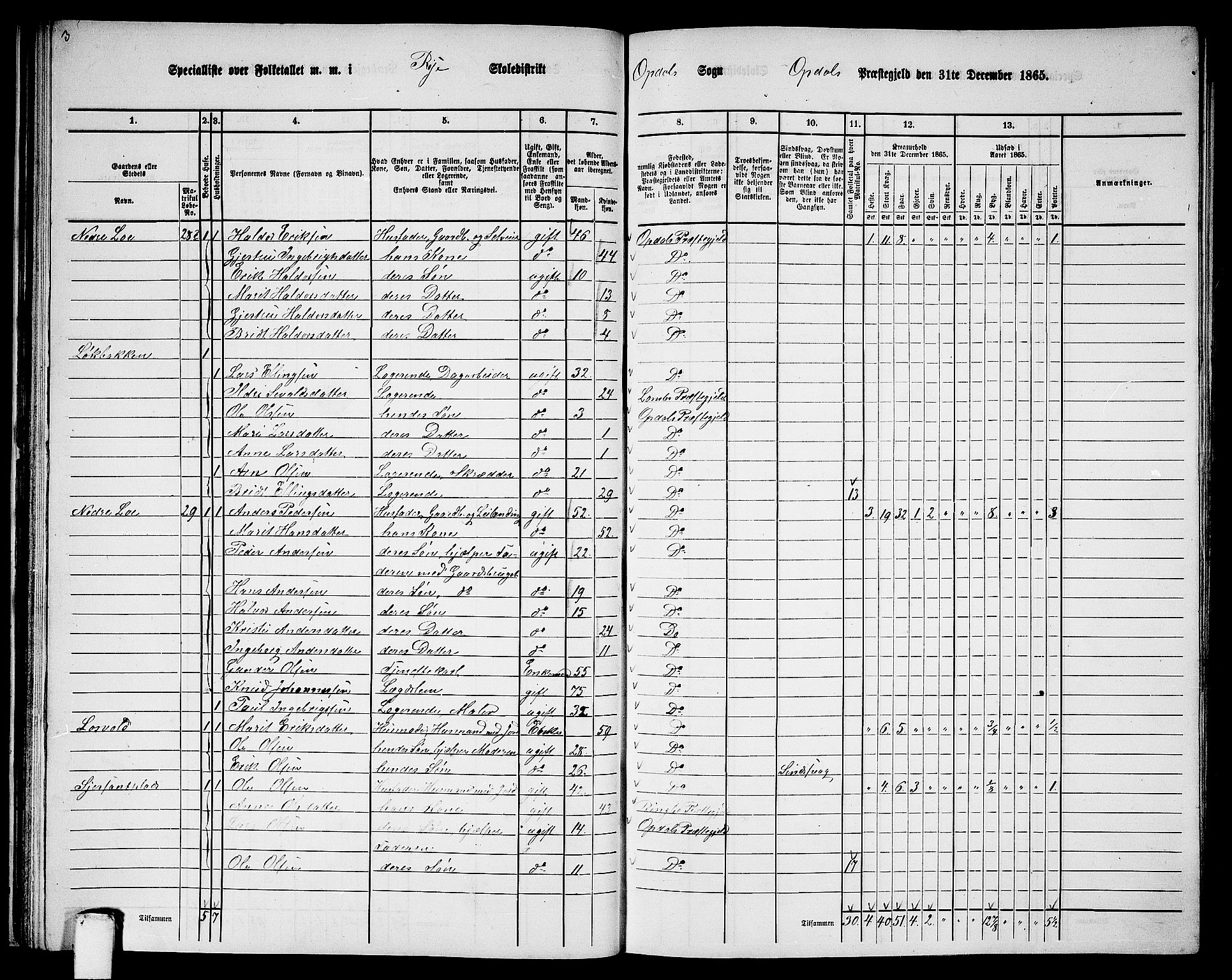 RA, 1865 census for Oppdal, 1865, p. 41