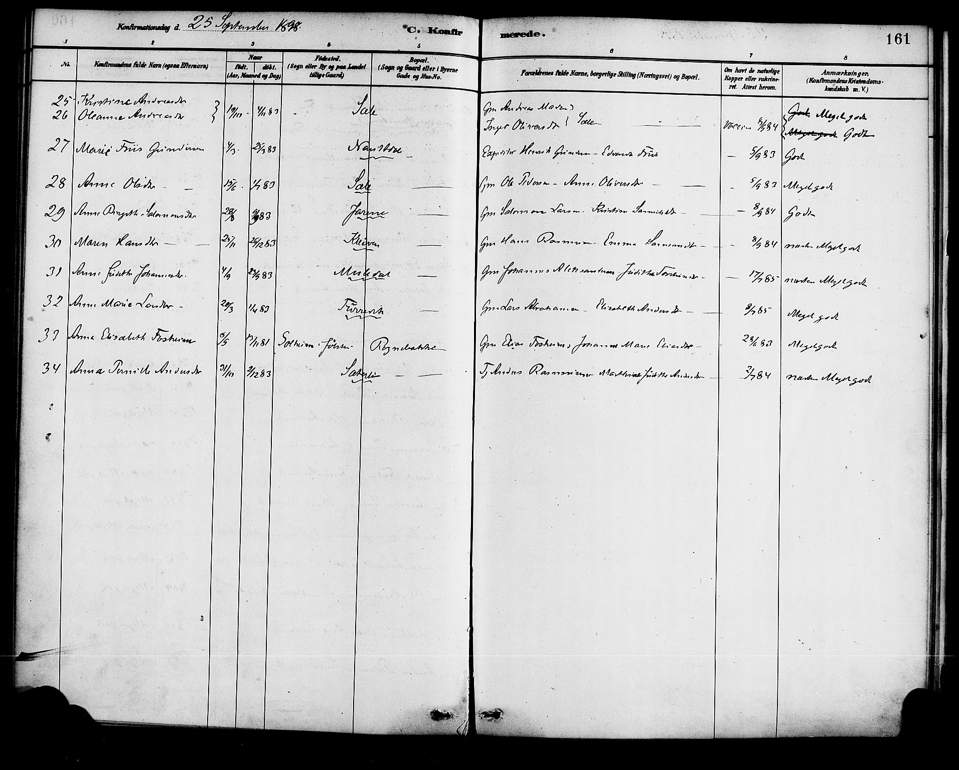 Førde sokneprestembete, AV/SAB-A-79901/H/Haa/Haad/L0001: Parish register (official) no. D 1, 1881-1898, p. 161