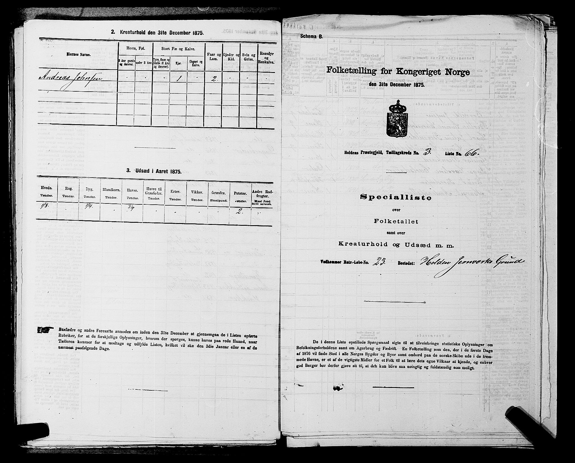 SAKO, 1875 census for 0819P Holla, 1875, p. 416