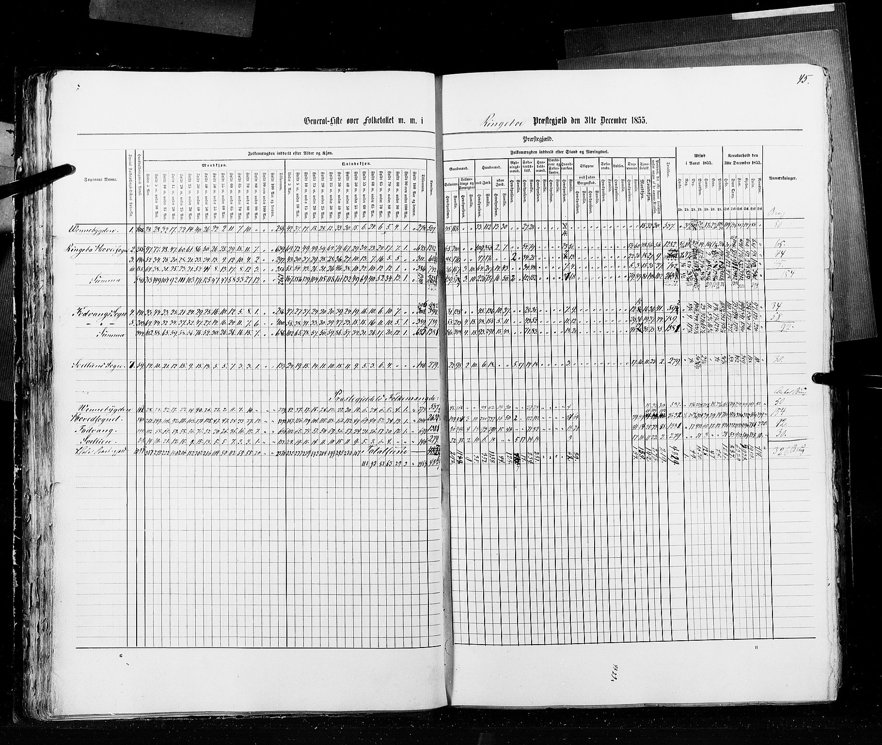 RA, Census 1855, vol. 2: Kristians amt, Buskerud amt og Jarlsberg og Larvik amt, 1855, p. 45