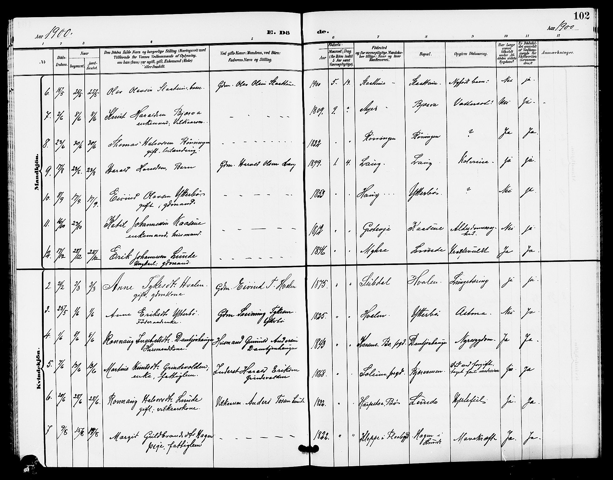Lunde kirkebøker, SAKO/A-282/G/Ga/L0003: Parish register (copy) no. I 3, 1896-1905, p. 102