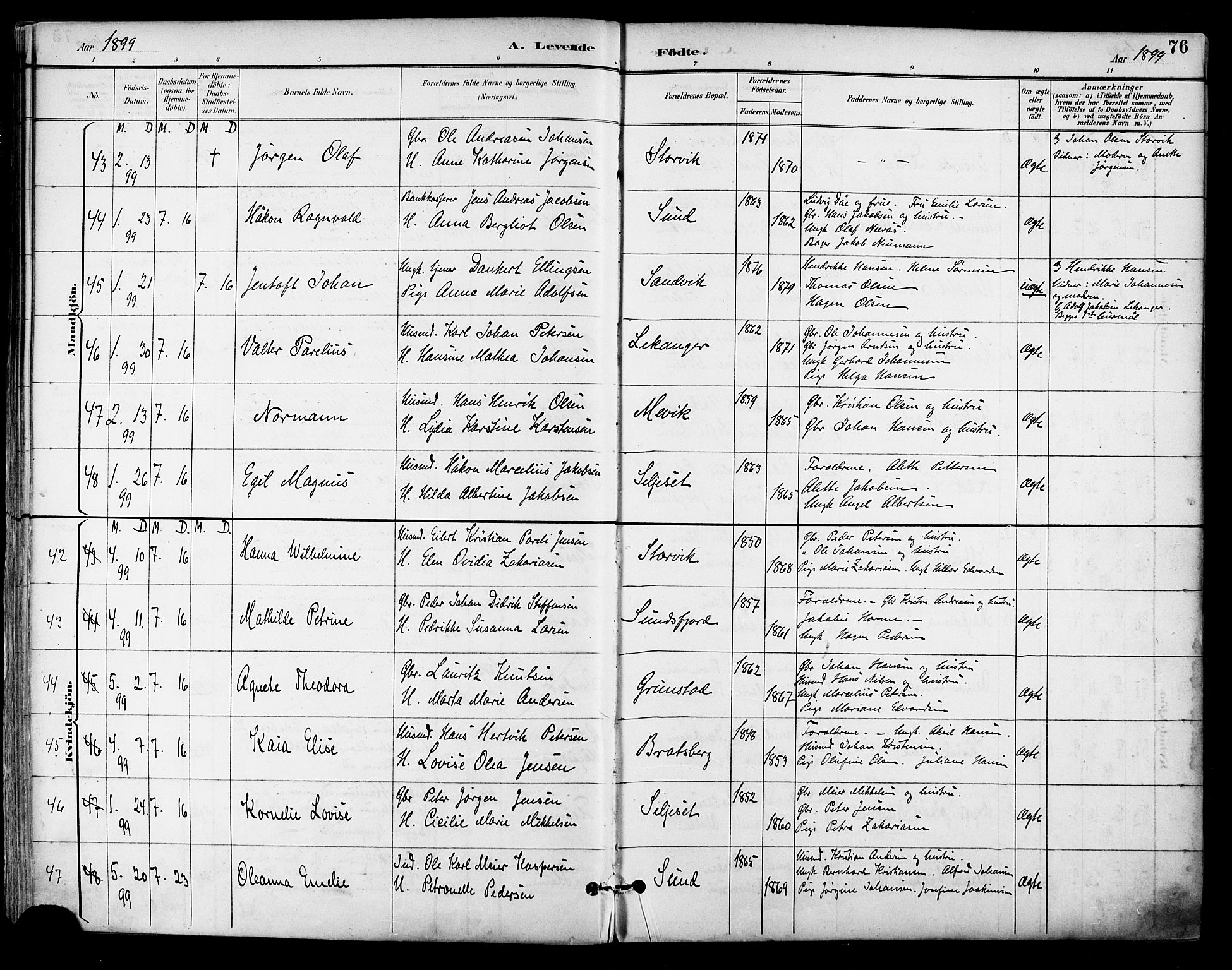 Ministerialprotokoller, klokkerbøker og fødselsregistre - Nordland, SAT/A-1459/805/L0101: Parish register (official) no. 805A07, 1892-1899, p. 76