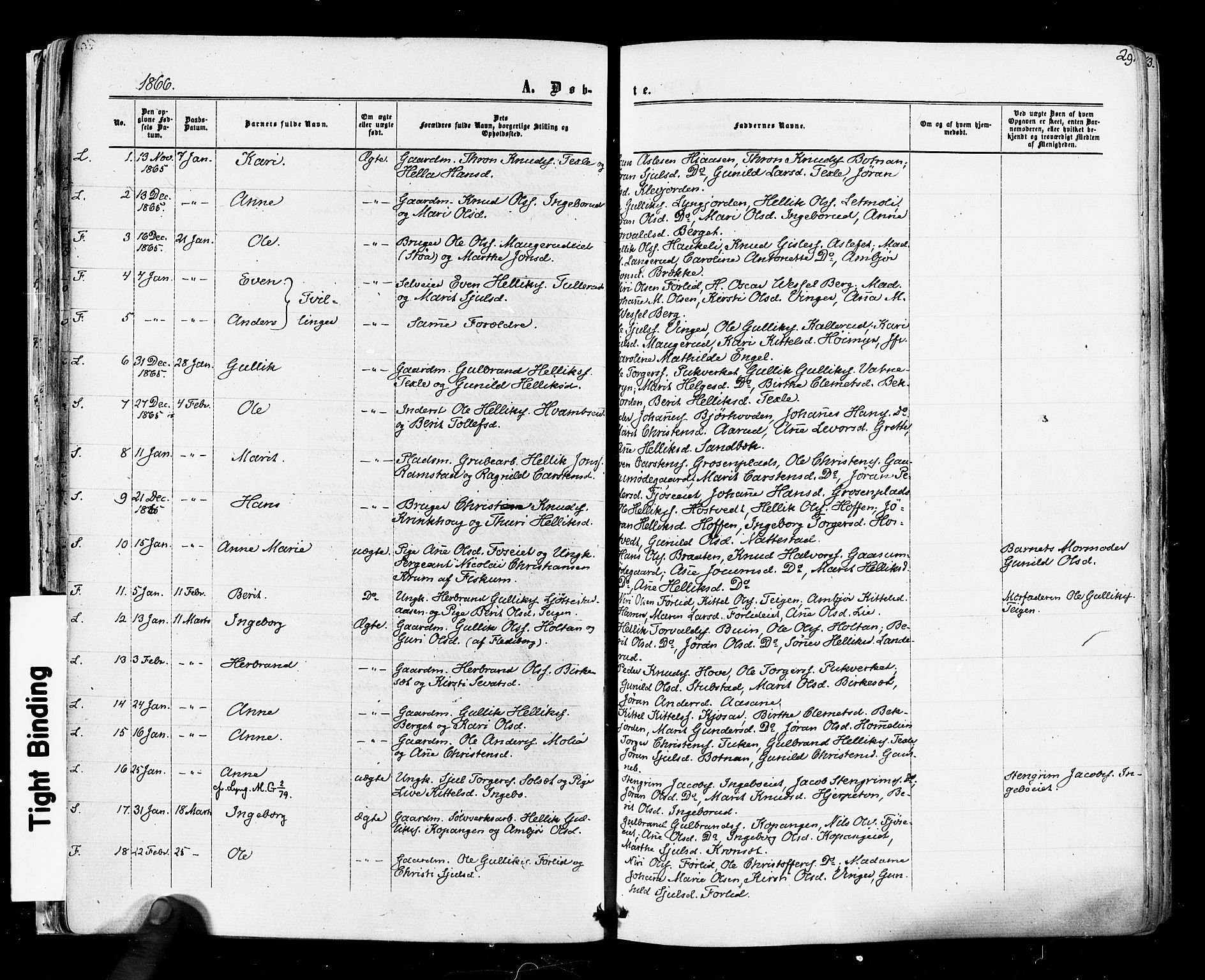 Flesberg kirkebøker, AV/SAKO-A-18/F/Fa/L0007: Parish register (official) no. I 7, 1861-1878, p. 29