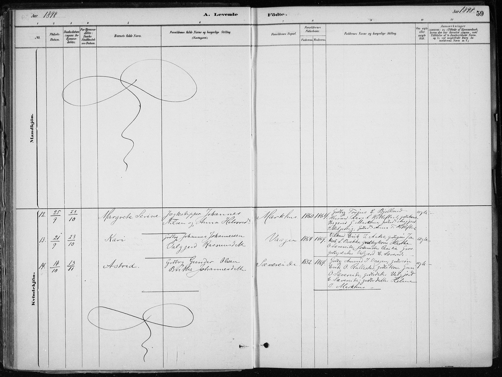 Skånevik sokneprestembete, AV/SAB-A-77801/H/Haa: Parish register (official) no. E  1, 1879-1901, p. 59